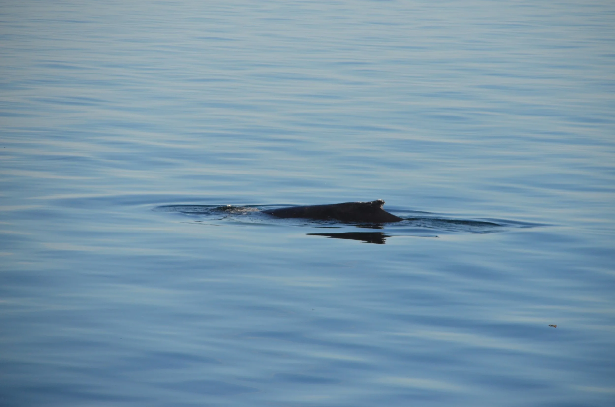 DSC_0139.JPG