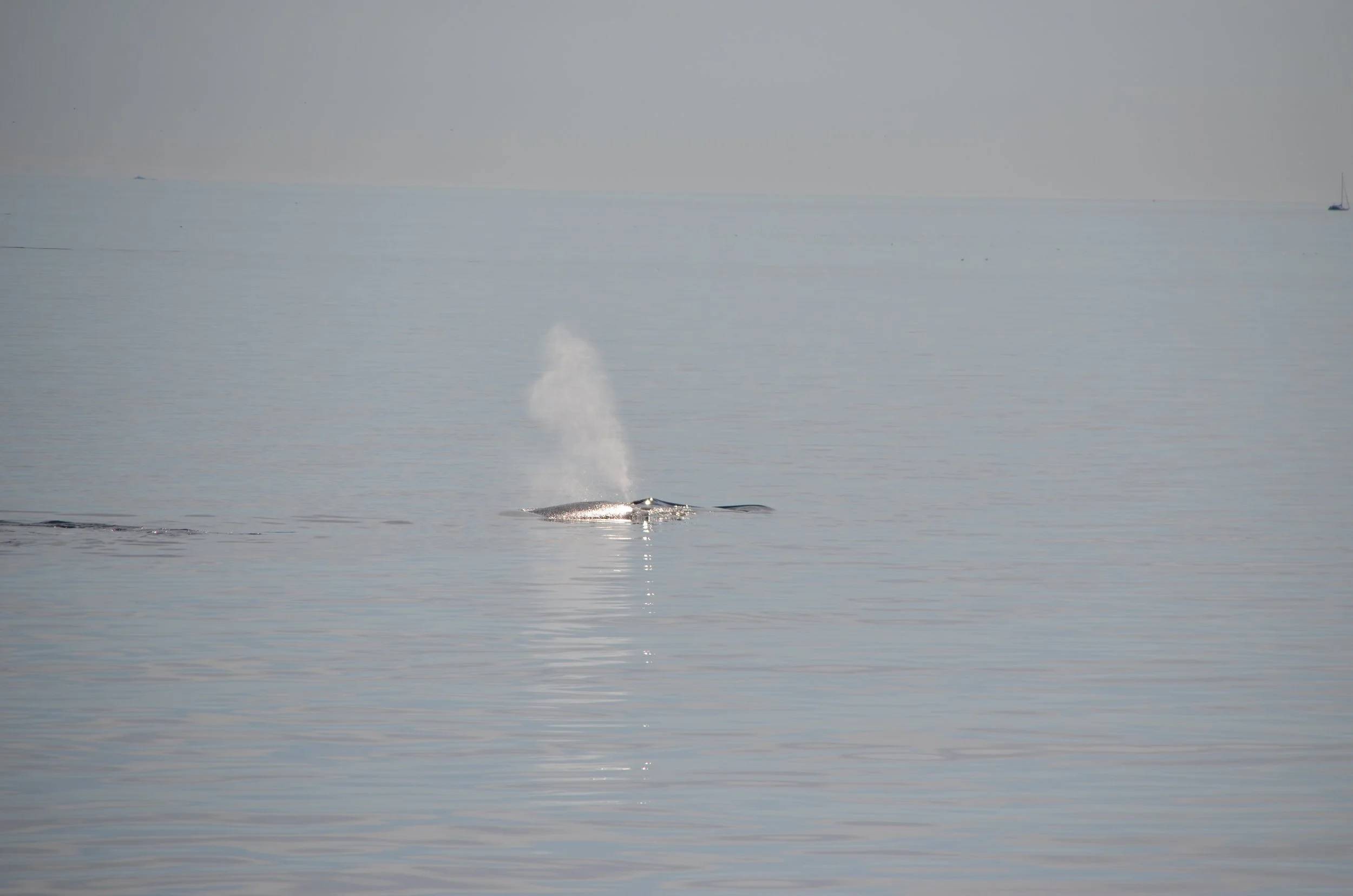 DSC_0148.JPG