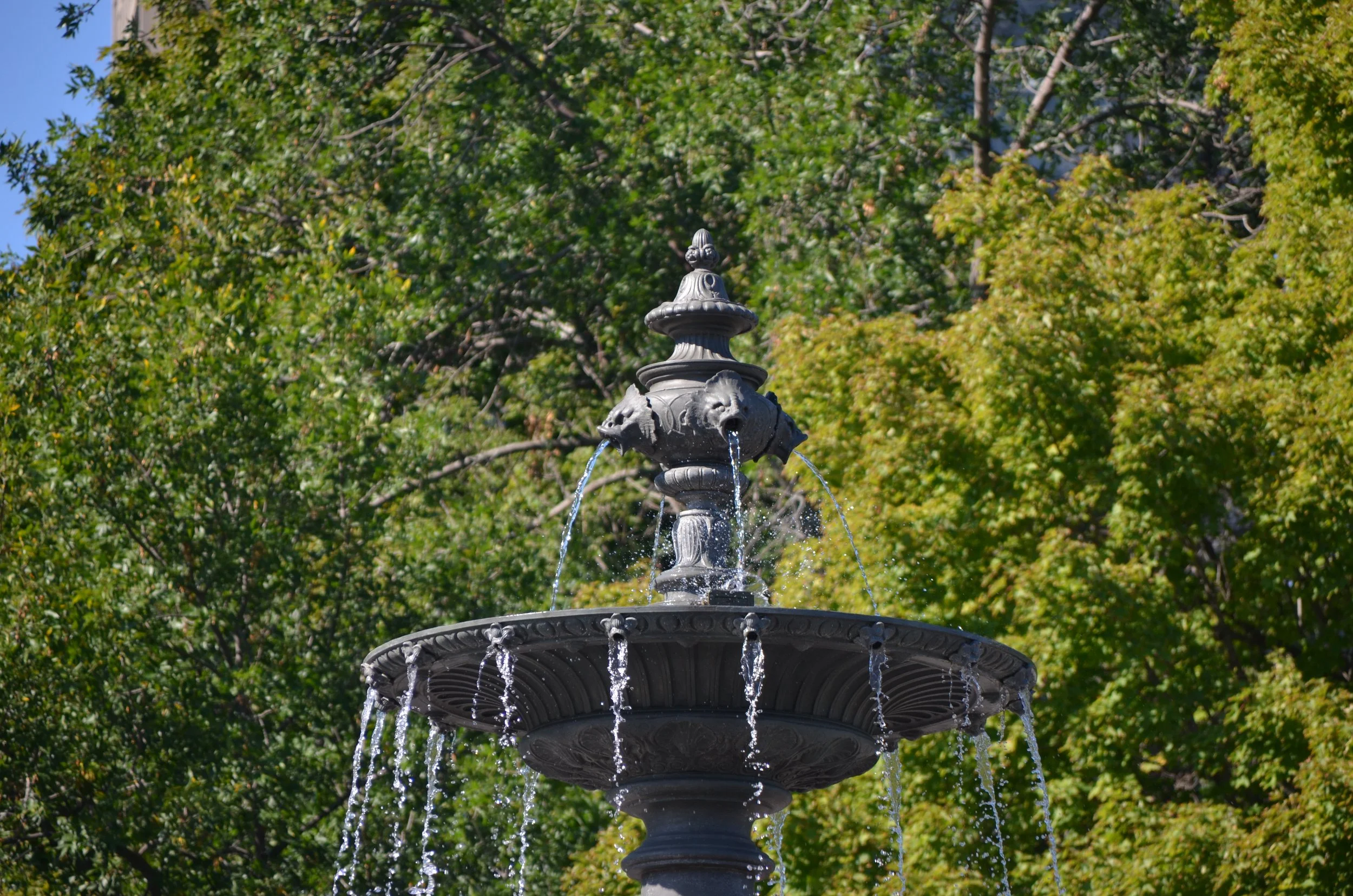 DSC_0001.JPG