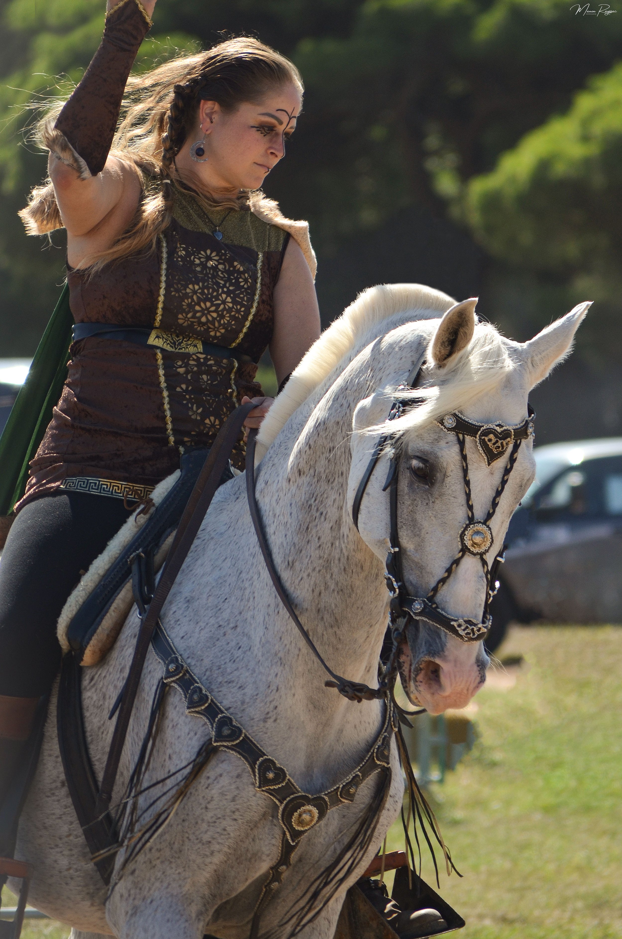 Salon du Cheval Hyères 2023