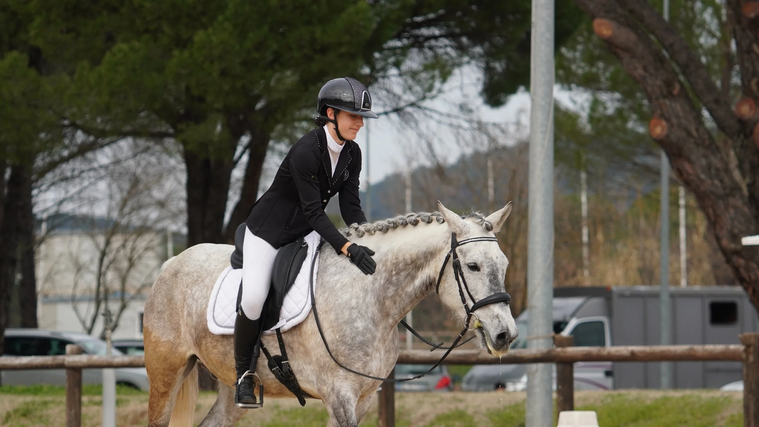 DRESSAGE / HUNTER Vidauban 16/02/25