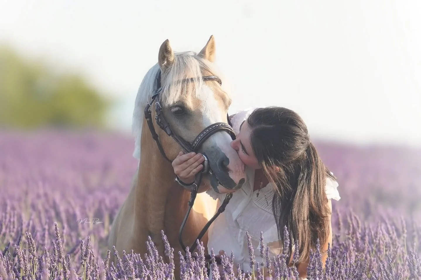 ☀️ Gabi et Tic ☀️

Que dire de ce duo que je trouve tellement mignon !! 🌸💜

#valensole #horse #shooting #summer #sunset #lavandes