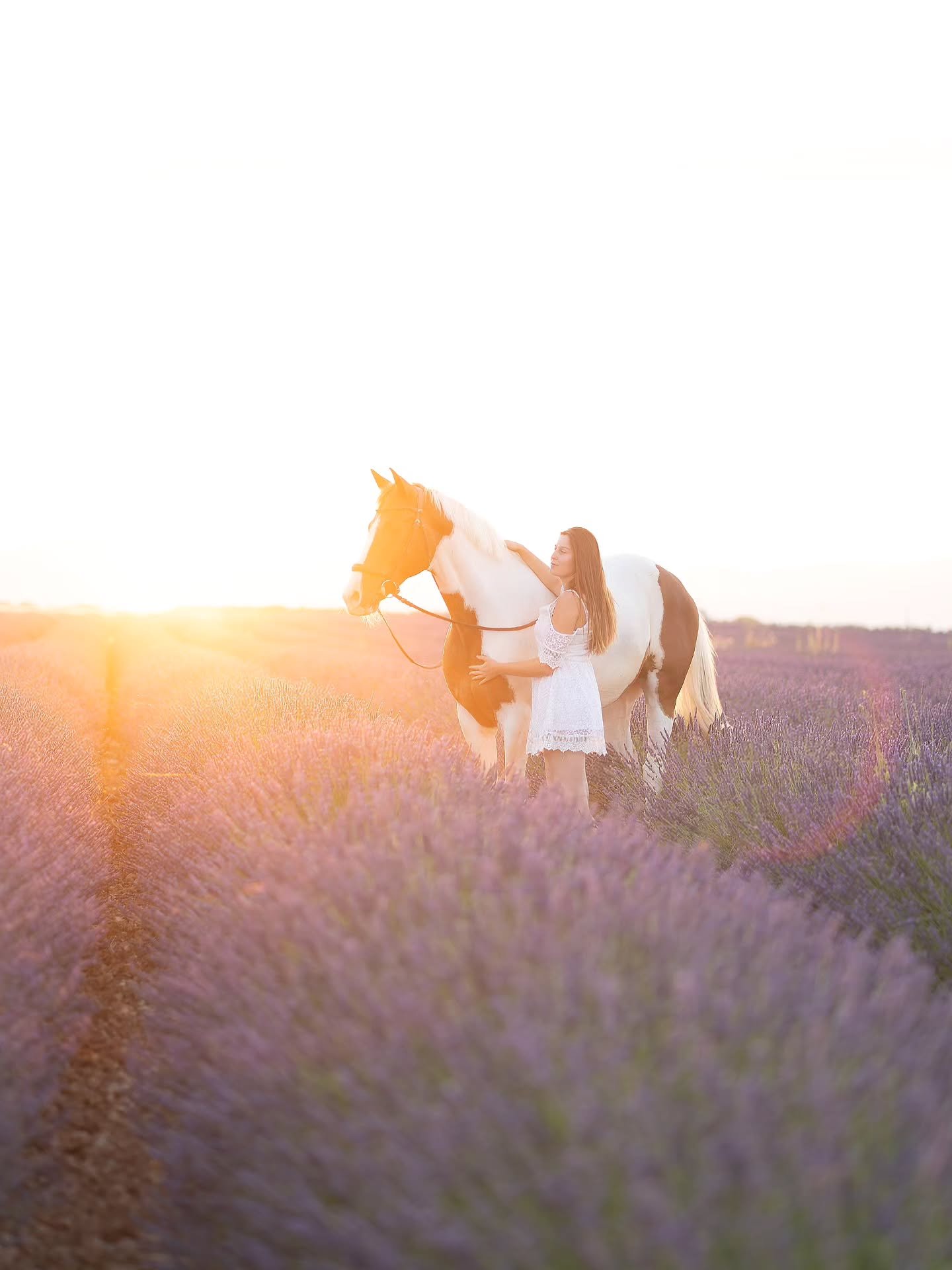Retour sur le portfolio de Valensole avec mon ambassadrice @apache_du_fays 🌸

Merci &agrave; Lisa pour ce moment avec le beau Apache qui a &eacute;t&eacute; exemplaire 😍

#horse #shooting #valensole #lavandes #equestrian #sunset #sun #summer