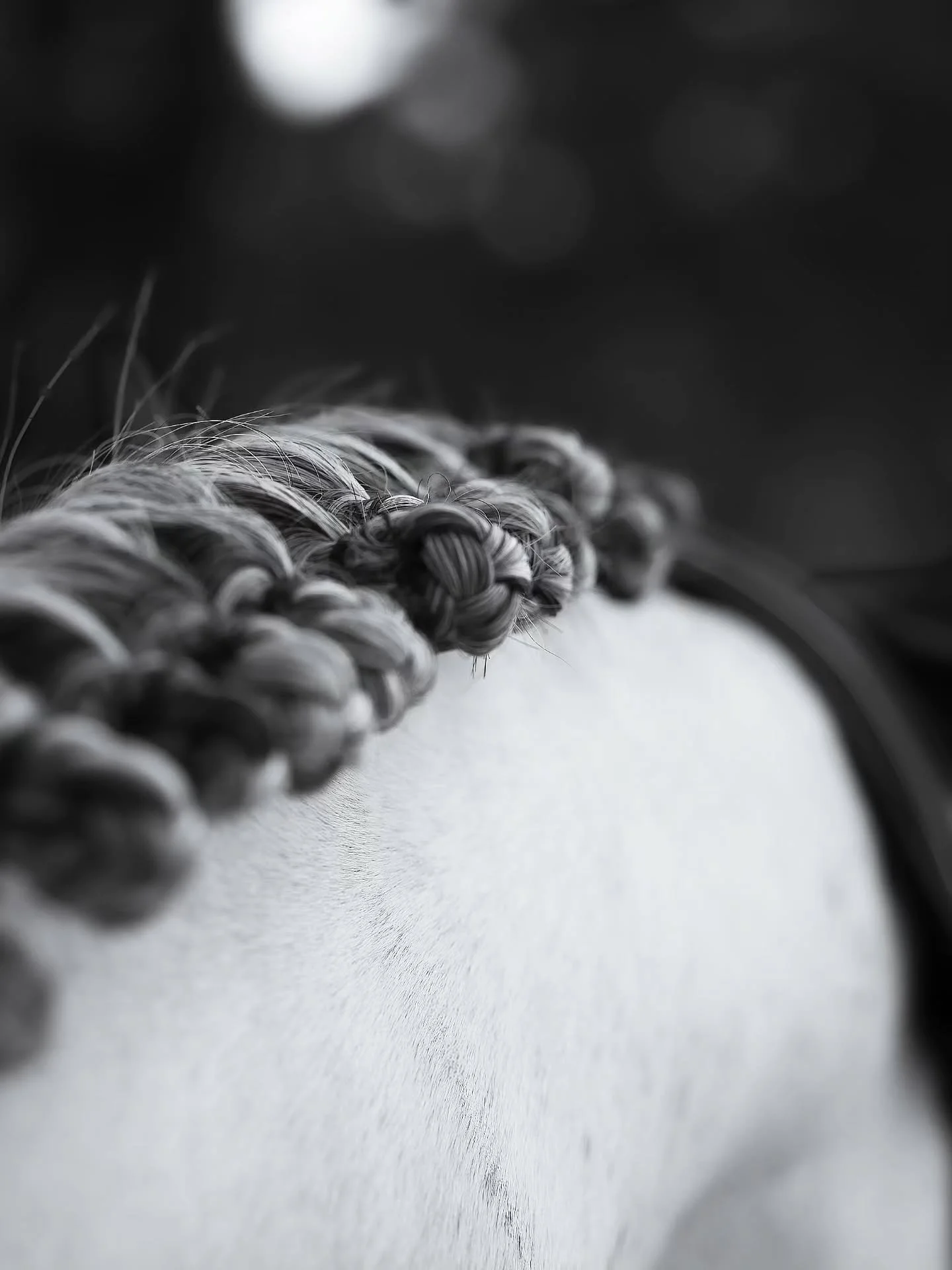 Un d&eacute;tail qui fait toute la diff&eacute;rence ✨️

Les magnifiques pions du beau Imperioso lors de sa finale en CSO Club 3 Senior ☺️

Je test le noir et blanc et je trouvais que cette photo s'y pr&ecirc;te parfaitement. Des avis ? 🌸

Vous aime