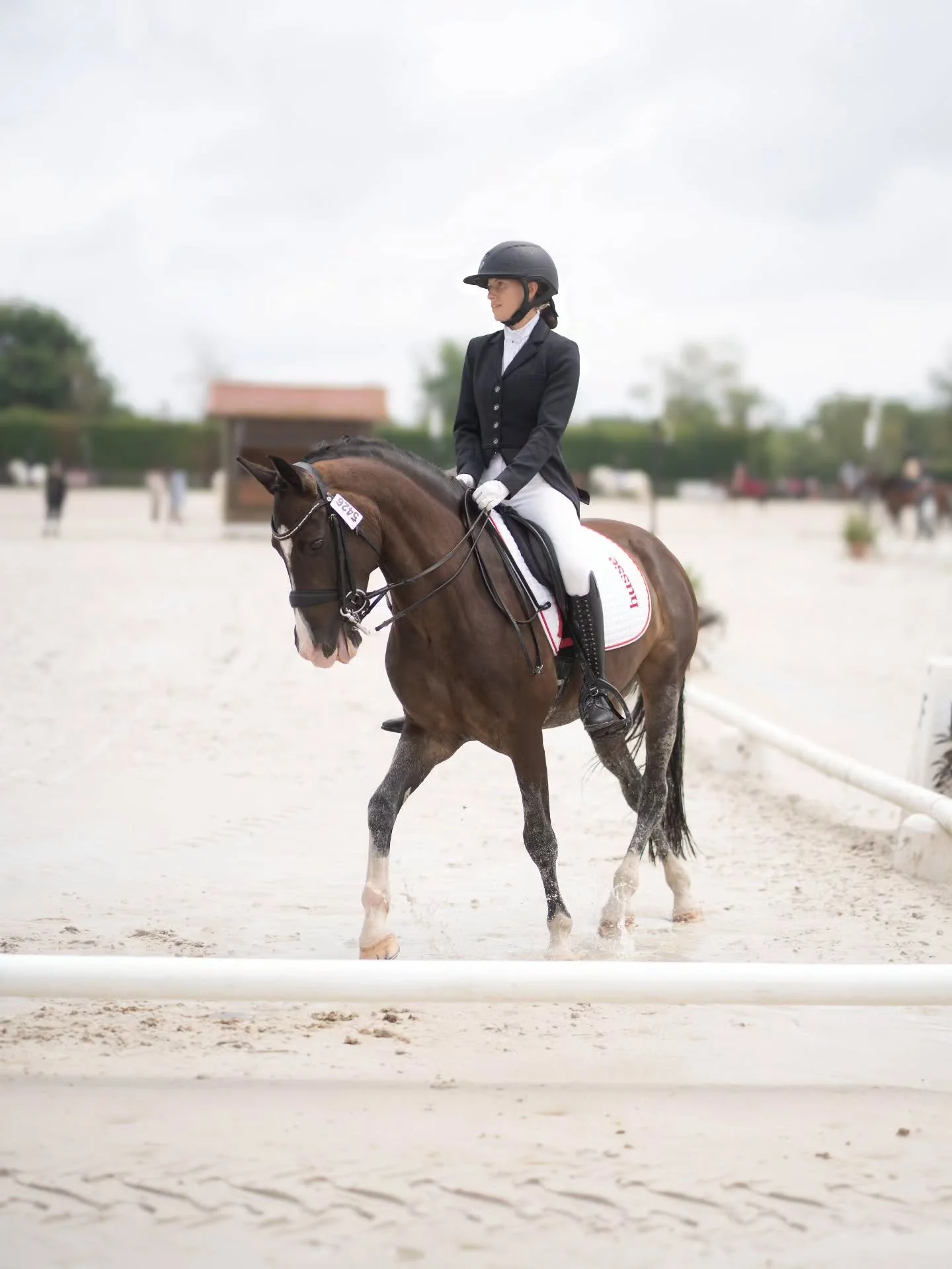 Un peu de douceur avec Lou et Ulloway des Vernedes qui nous a fait une magnifique reprise de dressage malgr&eacute; le mauvais temps ✨️🥰

Des avis ? 🌸
.
.
.
.
.

#horse #dressage #ullowaydesvernedes #lamottebeuvron #championnat #equestrian #husse