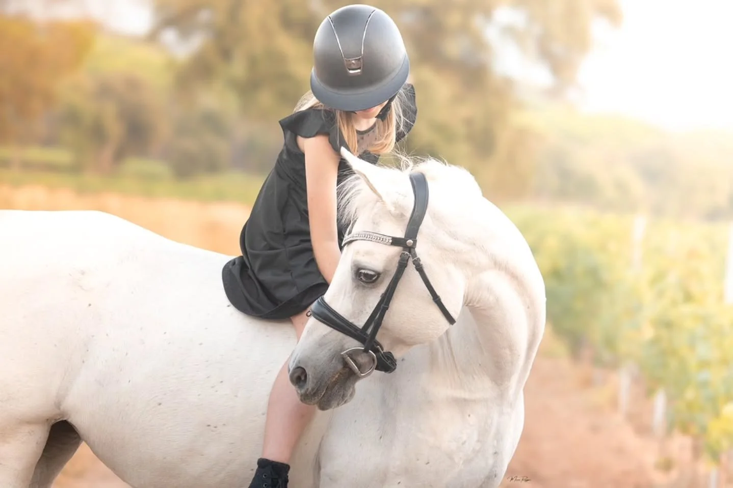 Elsa et Leila ✨️

Apr&egrave;s un an, on a r&eacute;it&eacute;rer un shooting et quelle am&eacute;lioration de ma part ☺️
Je suis contente d'avoir pu immortalis&eacute;e leur moment &agrave; toute les deux 💖
.
.
.
.
.

#horse #equestrian #shooting #