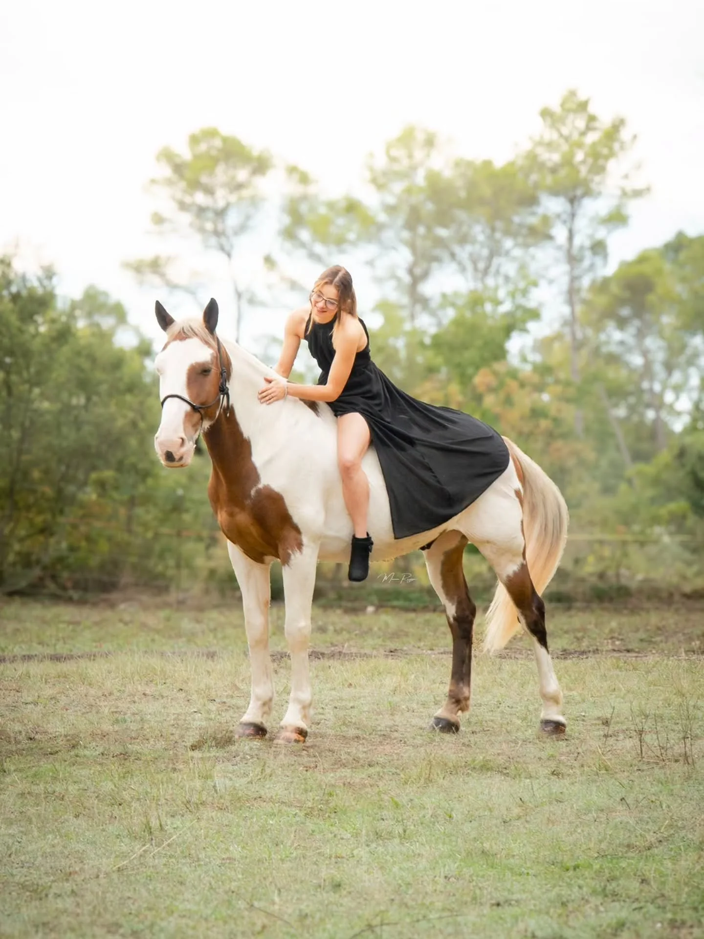 Le couple Valpie et @ag.ath4 sous mon objectif ! Je ne les avaient pas pris depuis la Camargue au mois de mai 🥰

Et je suis contente d'avoir pu immortalis&eacute; ce moment o&ugrave; cette fois-ci Agathe est devenu la propri&eacute;taire de Pidou of