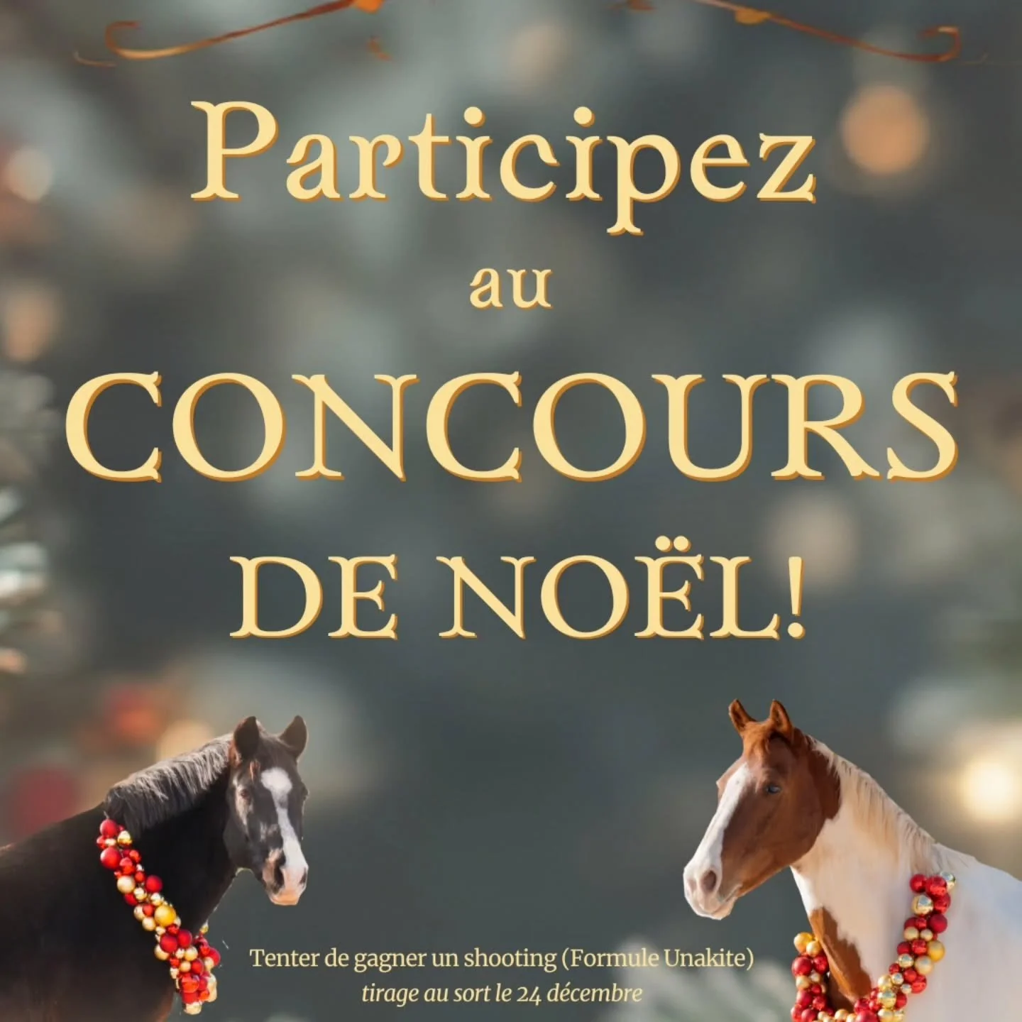 CONCOURS DE NOEL 🎄❄️

Cette ann&eacute;e j'ai envie de marquer le coup ! En effet, ca fais bient&ocirc;t 4 ans que Rsc-Photographie existe et je voulais vous remerciez comme il se doit 🥰 

Je vous fait gagnez un shooting equin pour l'ann&eacute;e 2