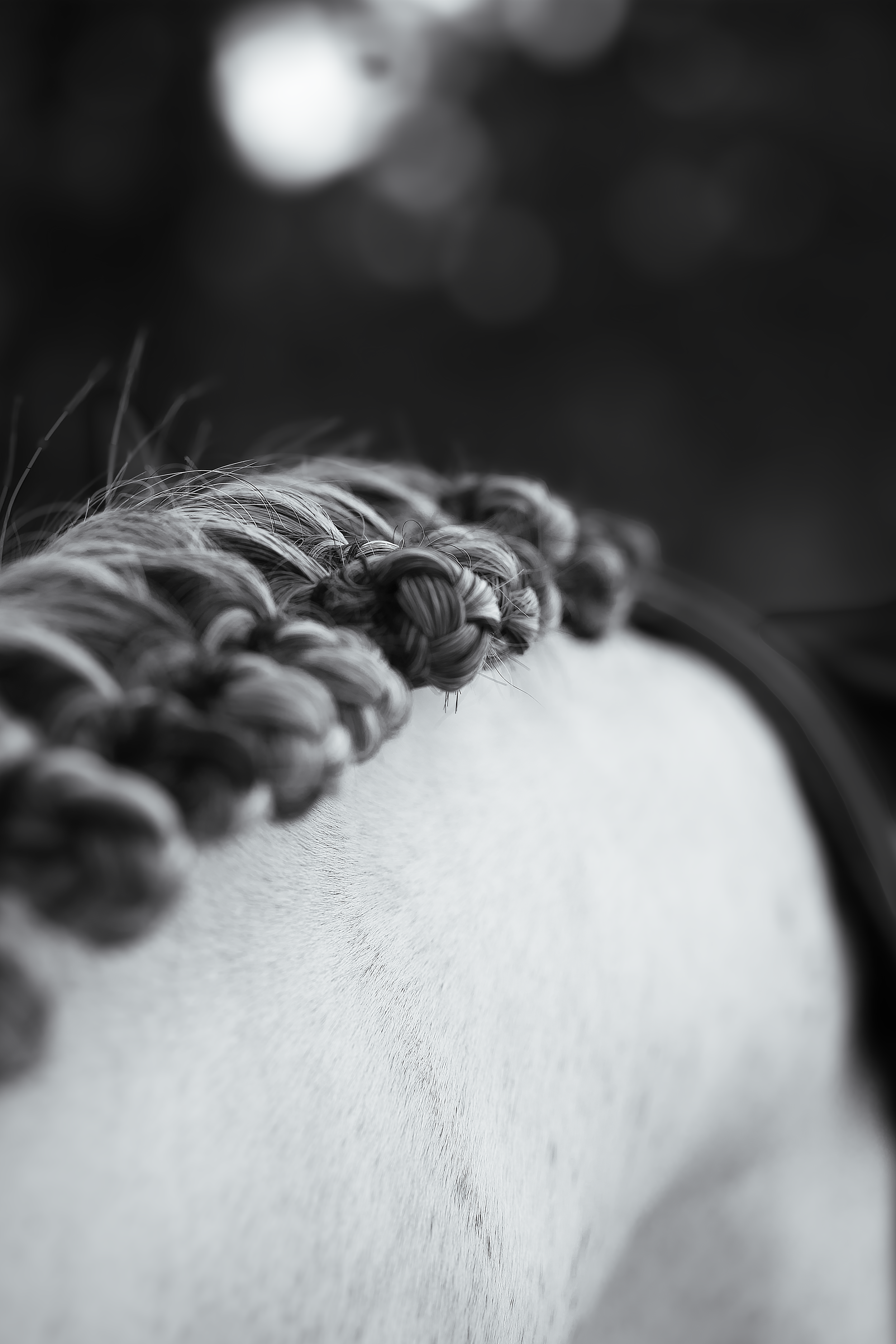 Championnat de France 2025