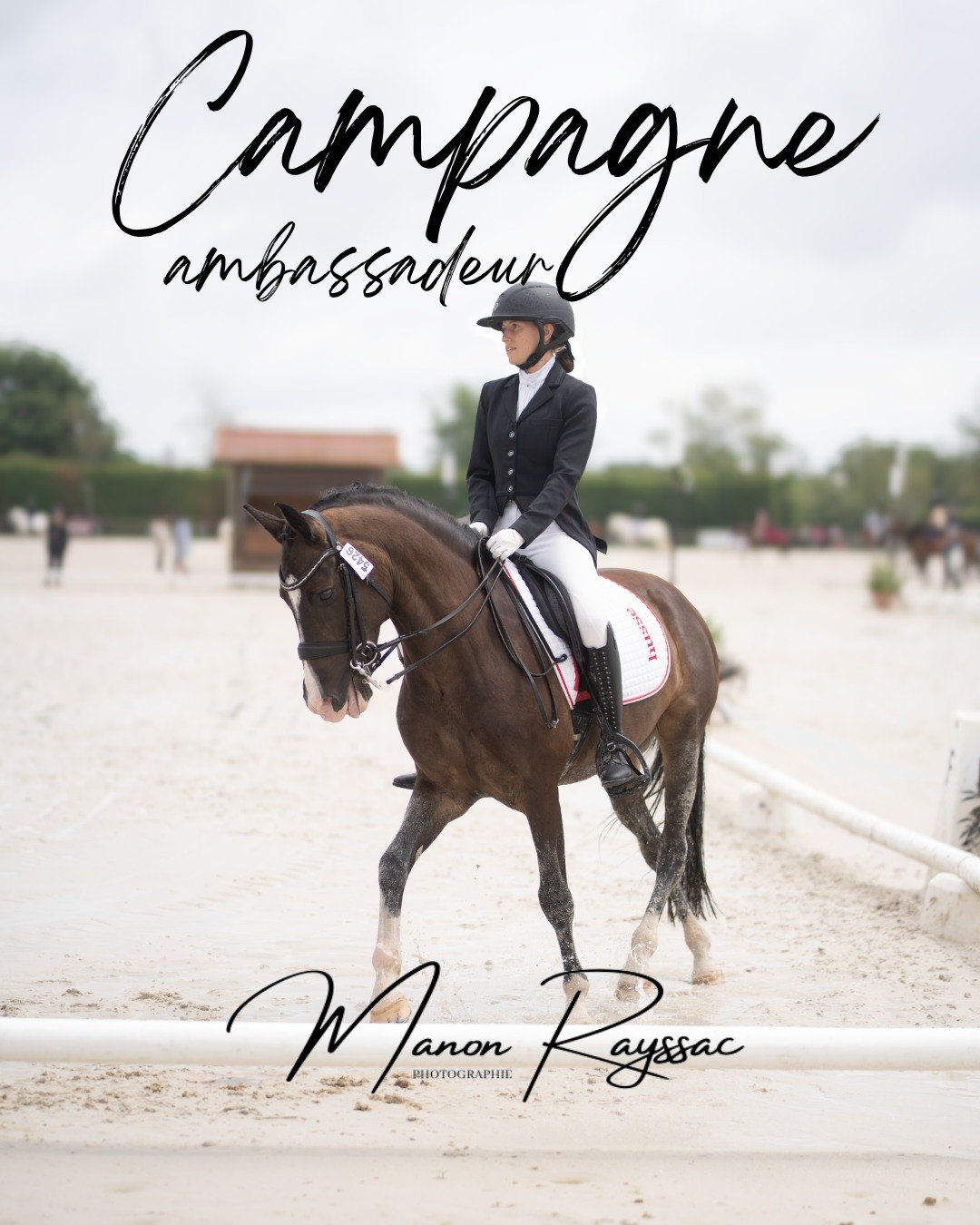 📸 RECHERCHE AMBASSADEURS / AMBASSADRICES 2026-2027 ! 🐴
Tu veux faire partie de l'&eacute;quipe ? C&rsquo;est le moment de tenter ta chance !
Pour cette nouvelle aventure, je recherche la ou les perles rare pour la nouvelle saison et qui sais, peut 