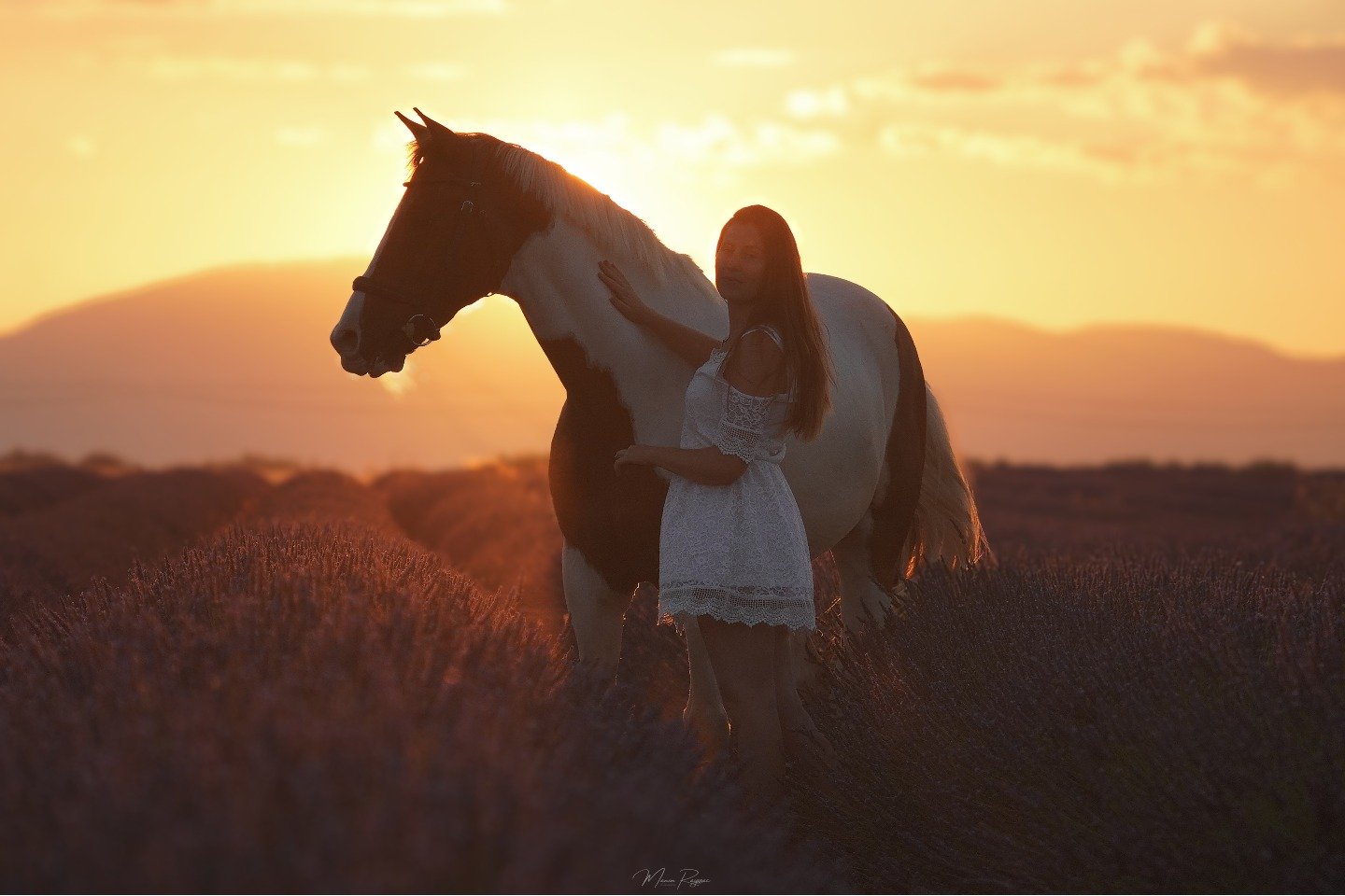J'ai quand m&ecirc;me de la chance de les avoir eu en tant qu'ambassadeurs ces deux-l&agrave; ! Et sous un magnifique lev&eacute; de soleil, ca rend la photo incroyable ! ​🥰​☀️​
.
.
.
.
.
#photooftheday  #picoftheday  #art #instagood  #photography