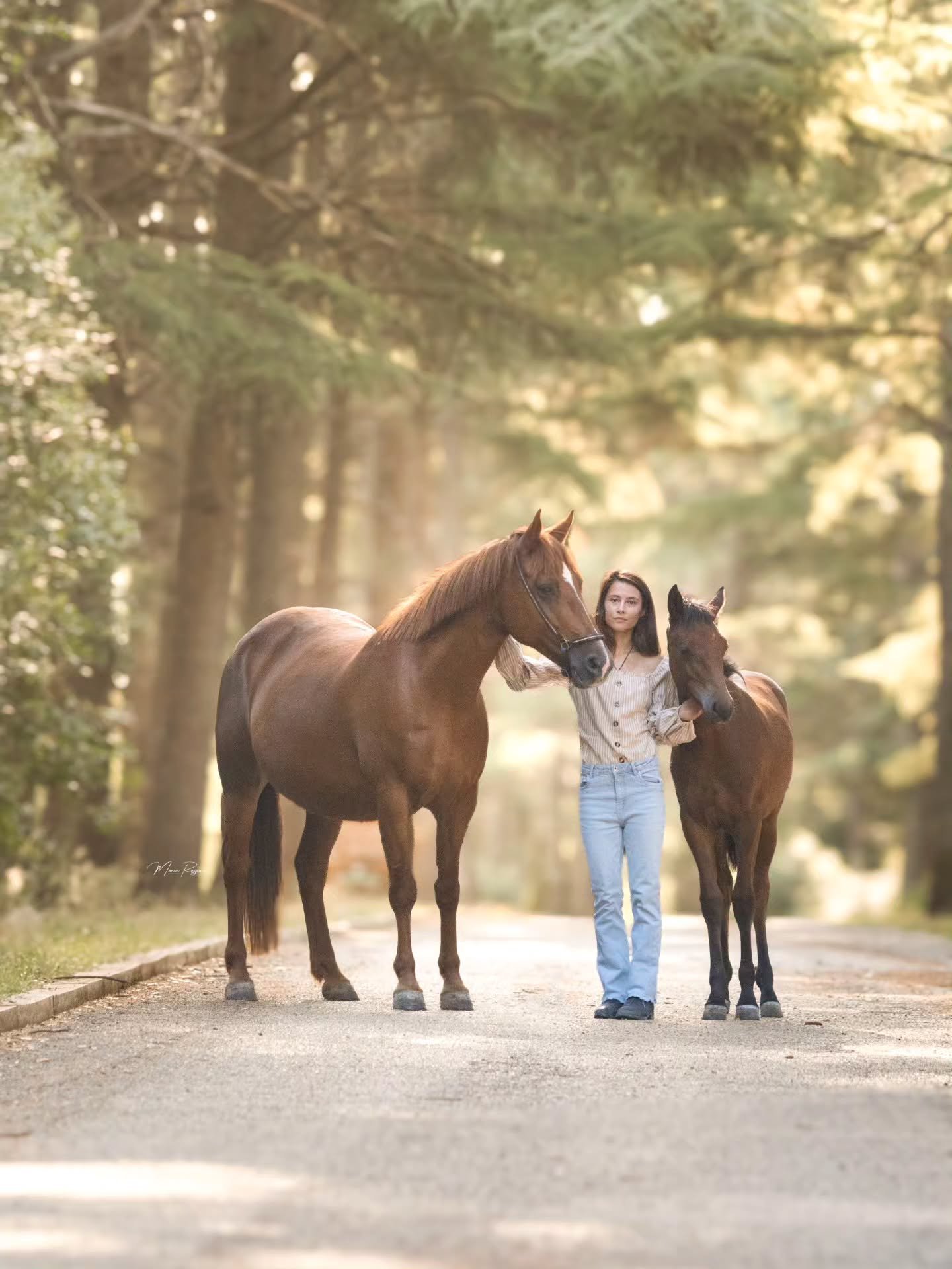 Un moment hors du temps avec Lisa, Gold et Qaprice lors de notre s&eacute;ance en for&ecirc;t 🍁
Un nouveau lieu qui s'ajoute &agrave; ma liste 🫢
.
.
.
Des avis ? 🥹✨️