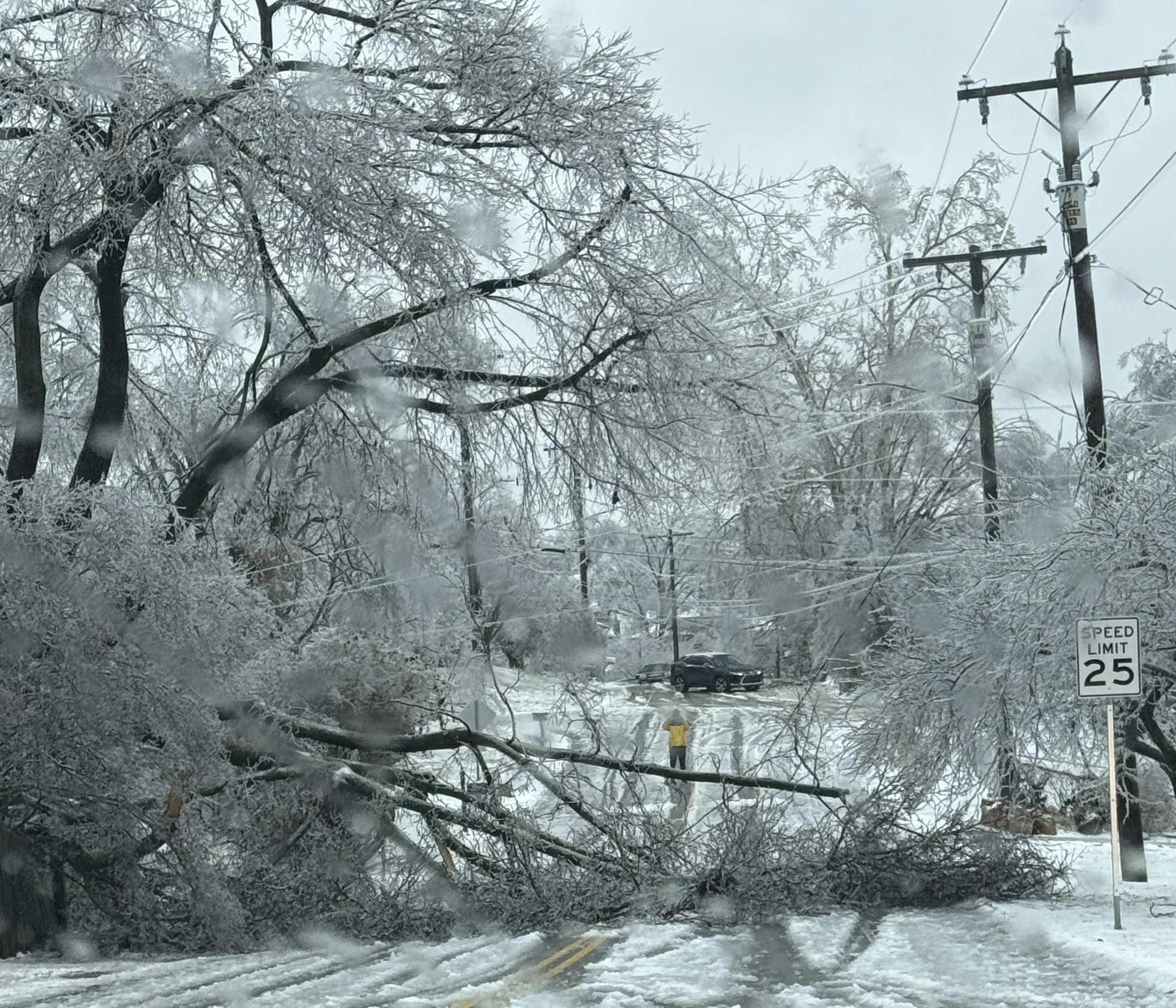 UPDATED NOTES ON MY WORD OF THE YEAR