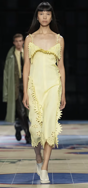 Bottega Veneta Dress.png
