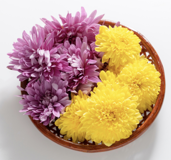 The Floral Fix