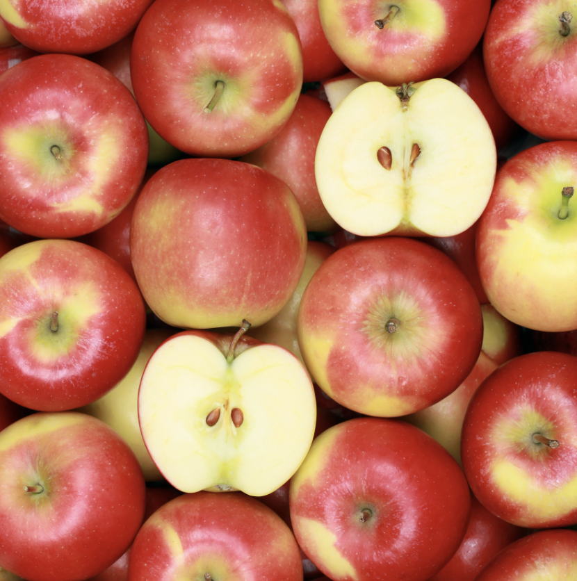 Apple of My Rye