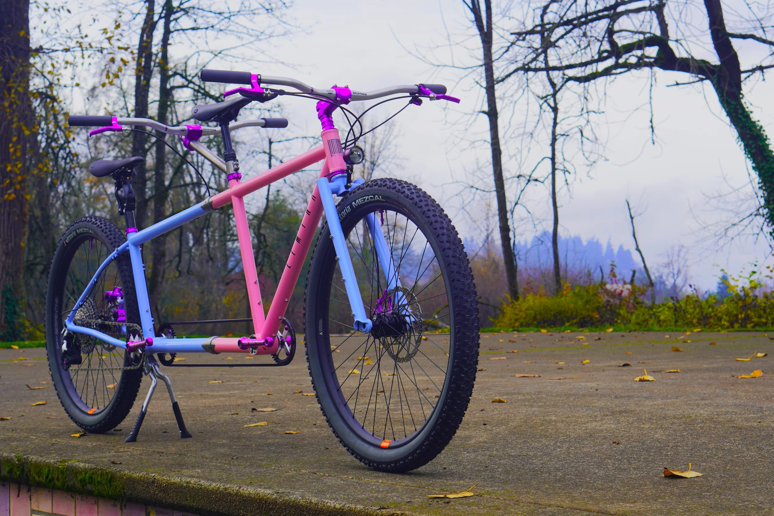 Nico and Smile’s Bikepacking Tandem