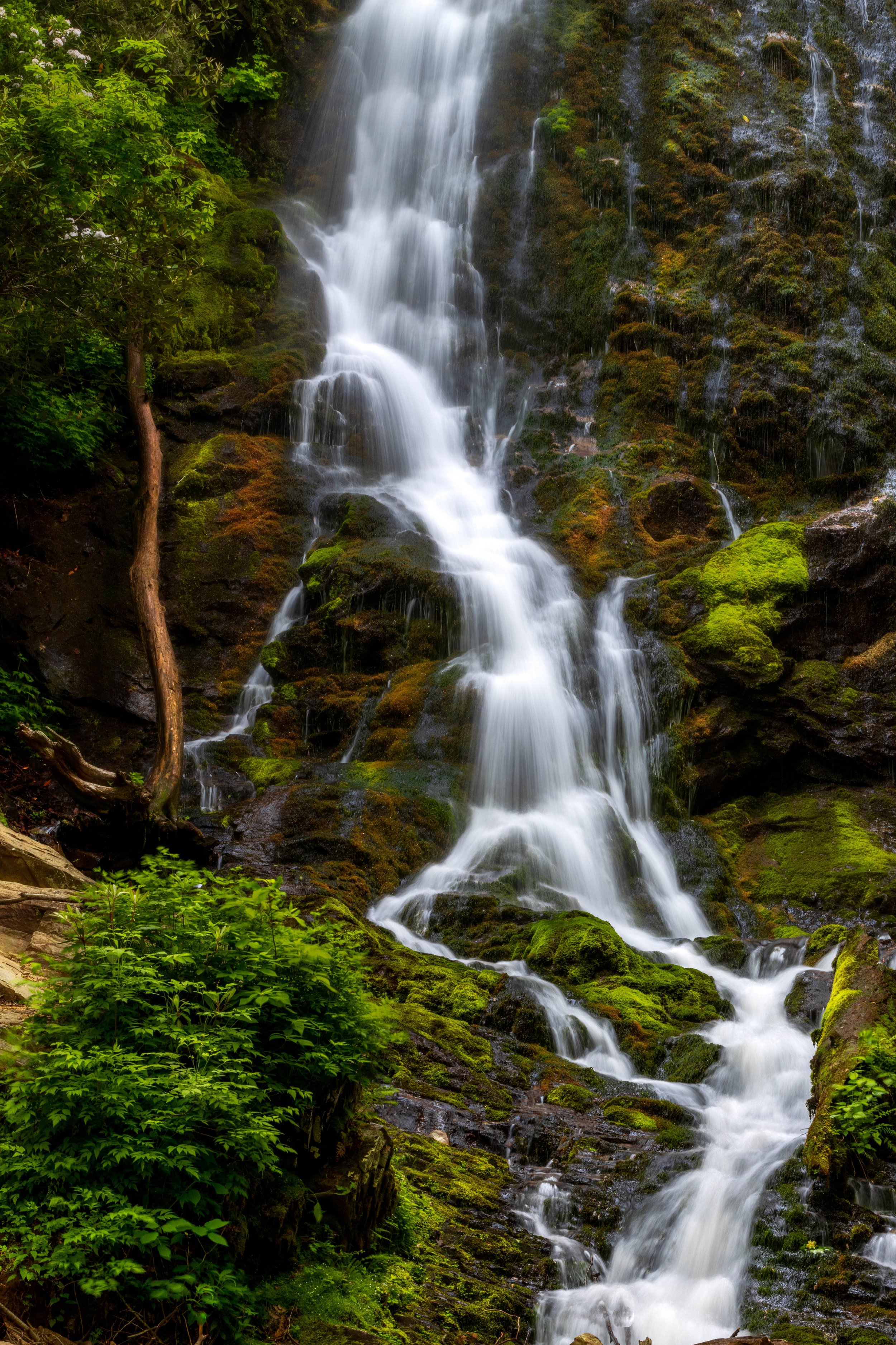 untitled-11.jpg