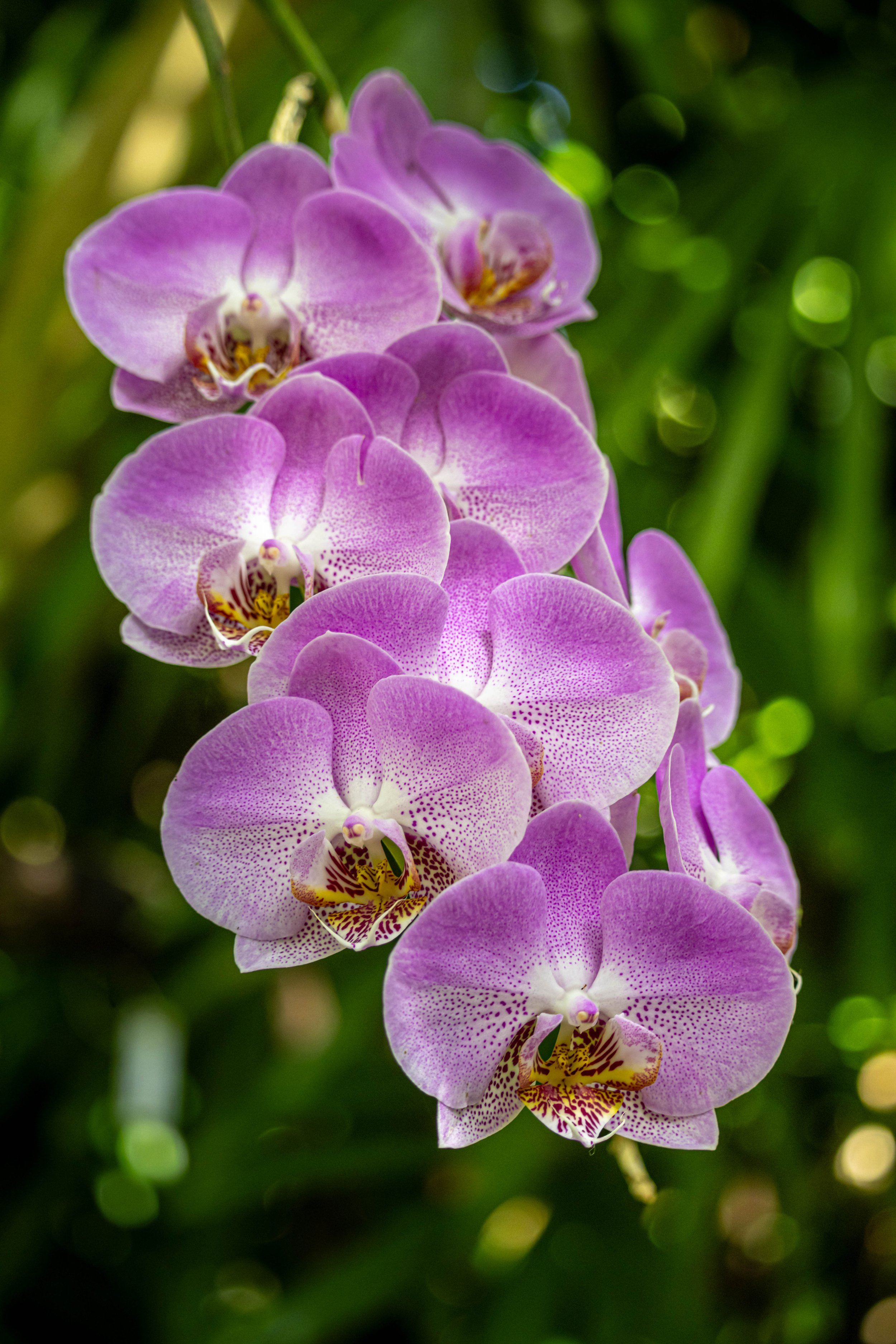 untitled-5.jpg
