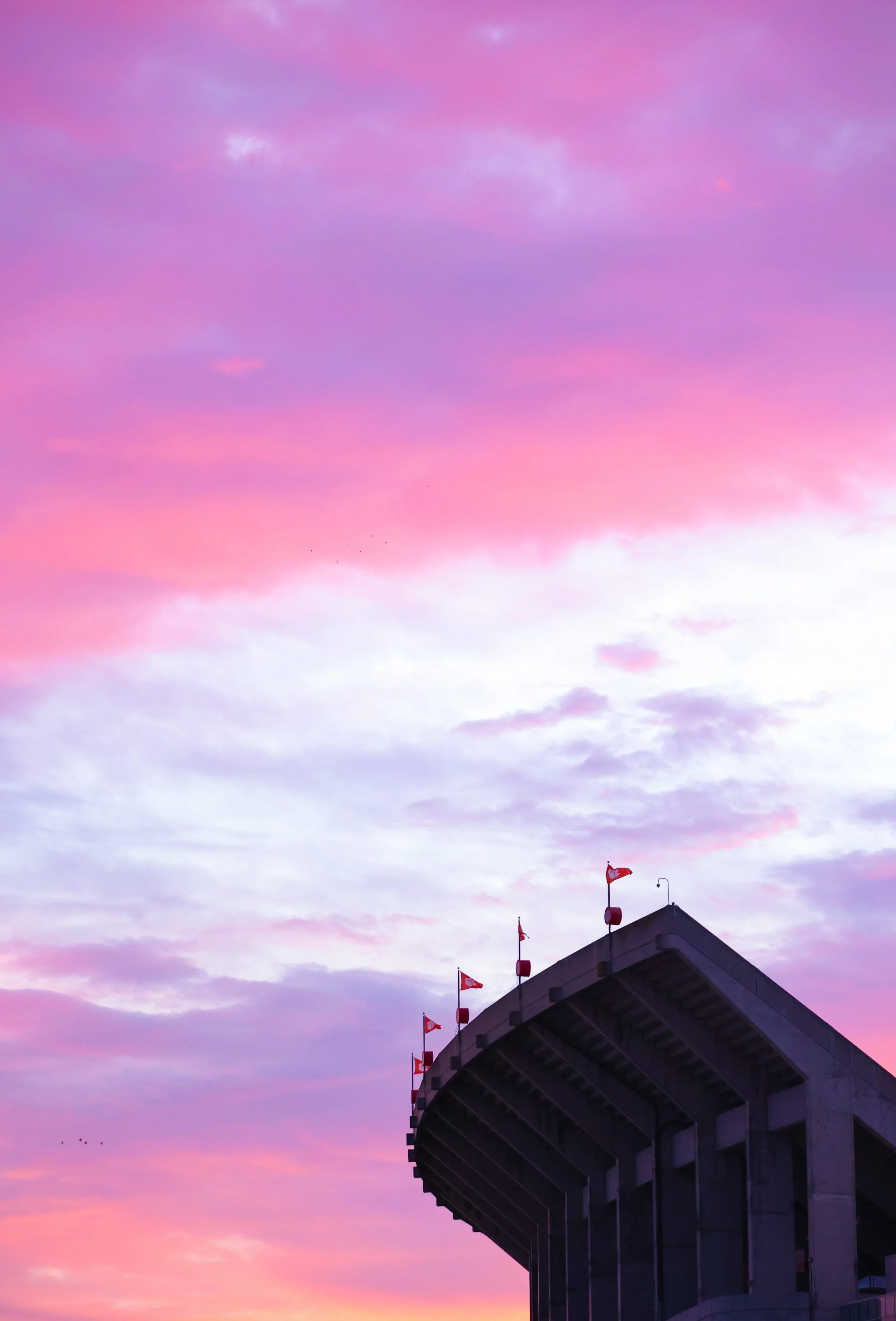 1F4A7983 8.33.09 PM.JPG