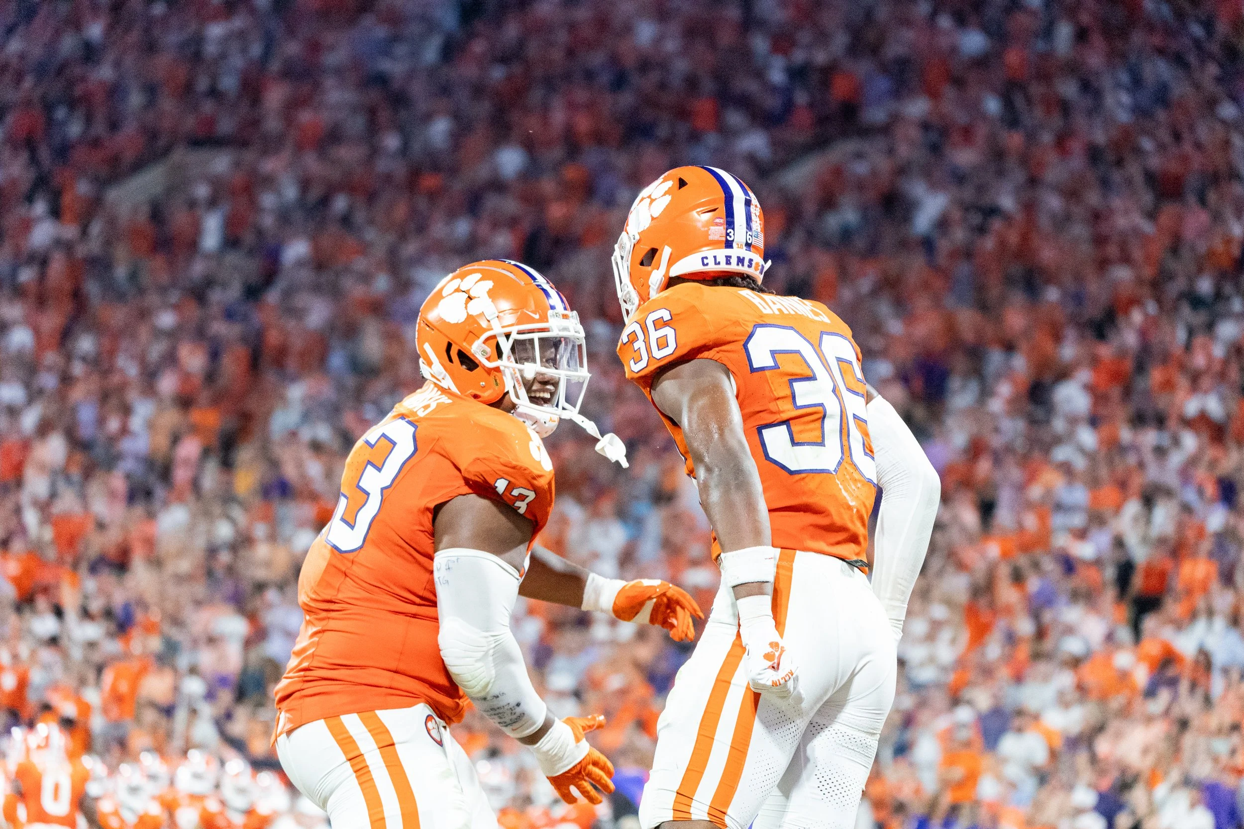 ADENT- FAU action-124.JPG