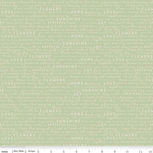 https://i.etsystatic.com/6687048/r/il/bcb5f6/4351393973/il_fullxfull.4351393973_24ud.jpg