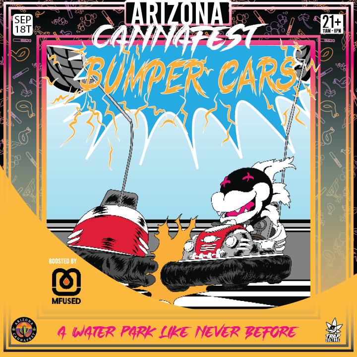 Bumpercars_3.png