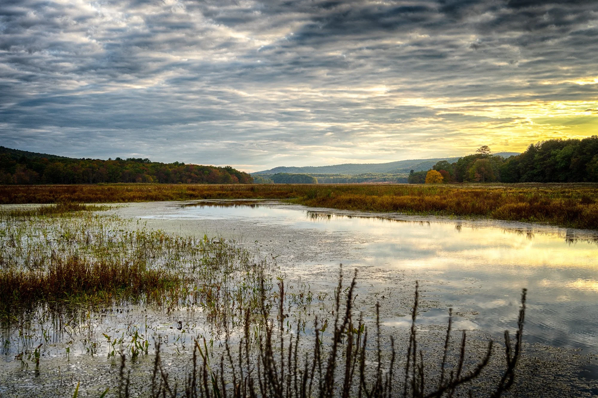DSC00210_HDR.jpg