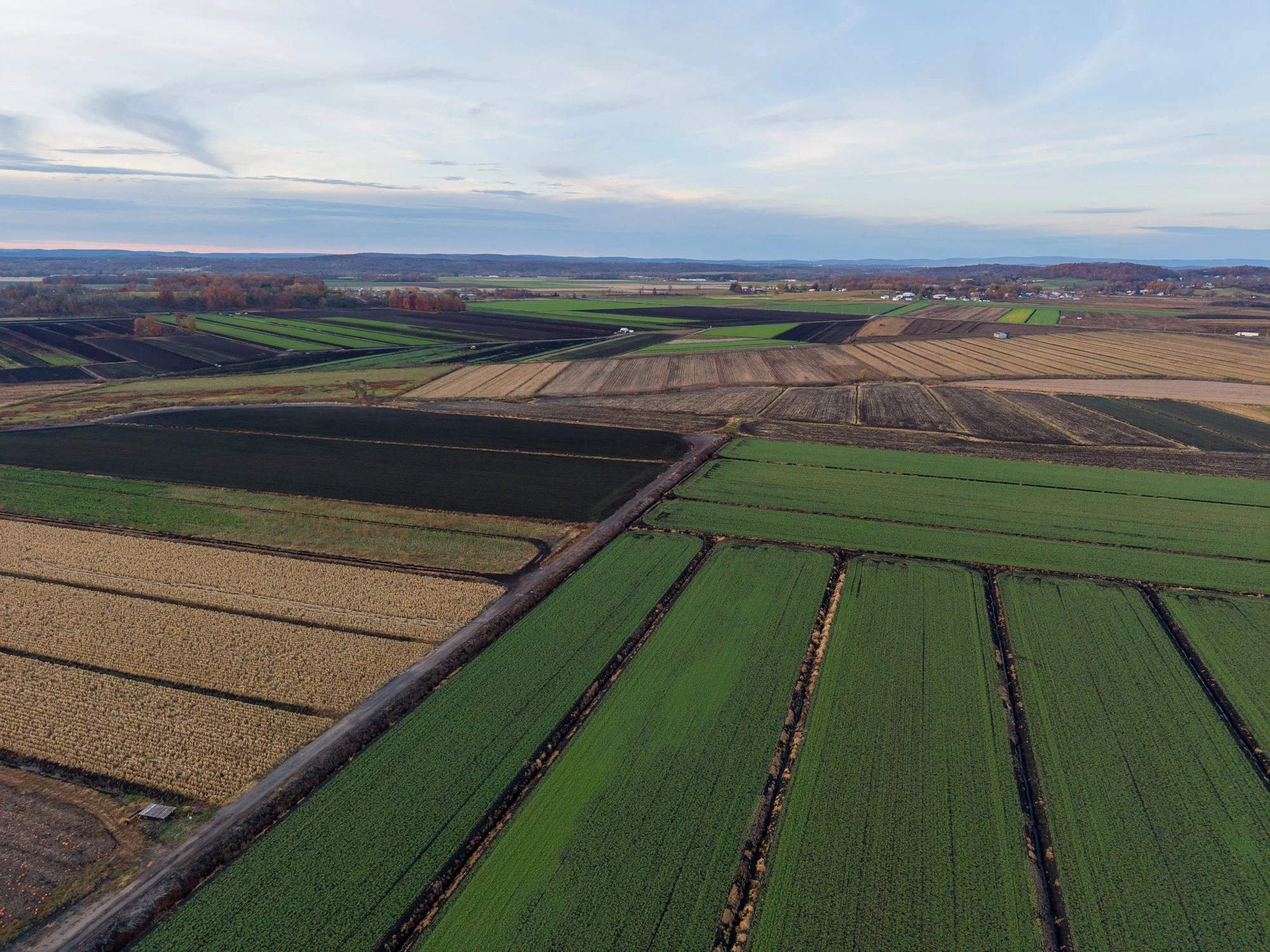 DJI_20241025174814_0197_D.jpg