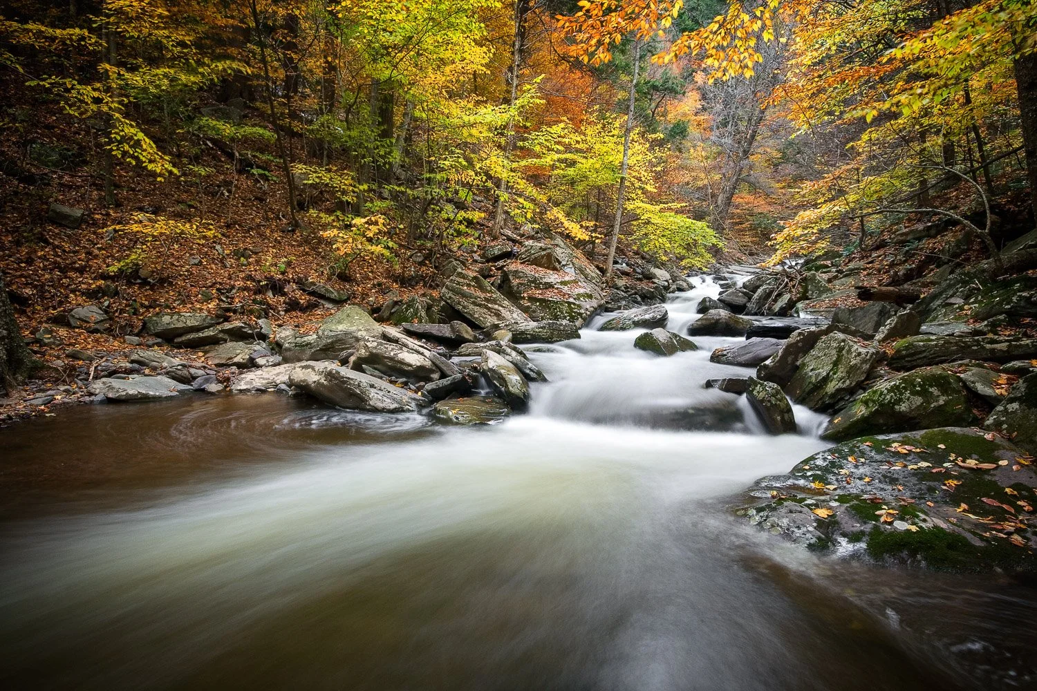 _MG_4691-Edit.jpg