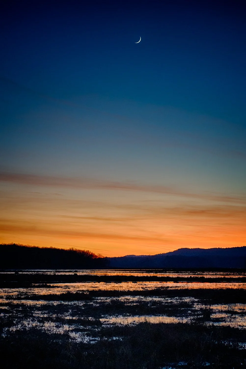 A7402020_HDR.jpg