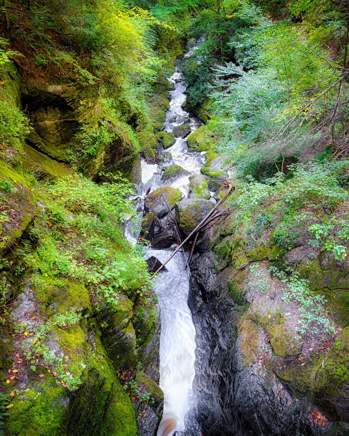A7405567_HDR.jpg