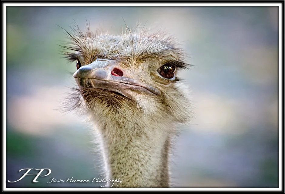 _MG_7469-Edit copy.jpg