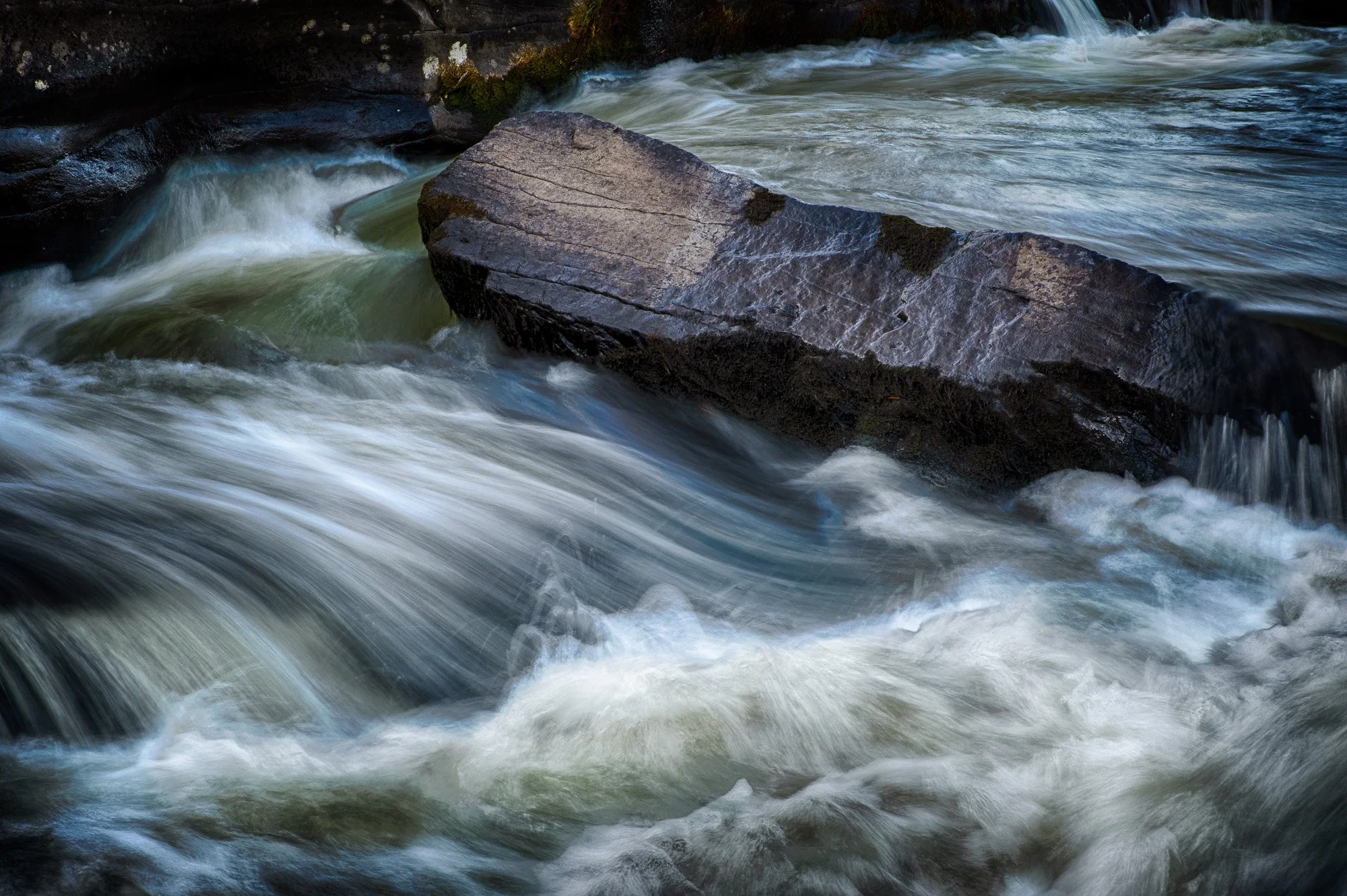 DSC01960_HDR.jpg