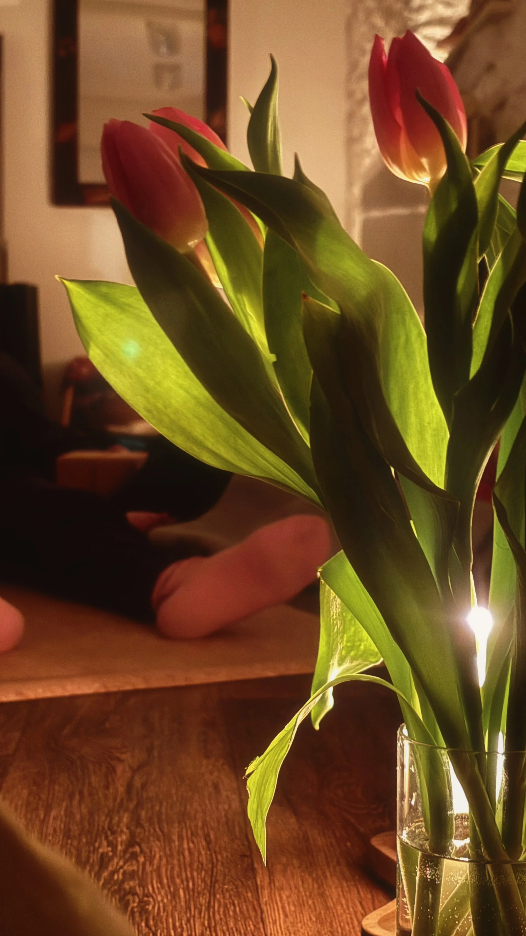 Close-up of red tulips with green leaves in a glass vase on a candlelit wooden yoga studio floor.