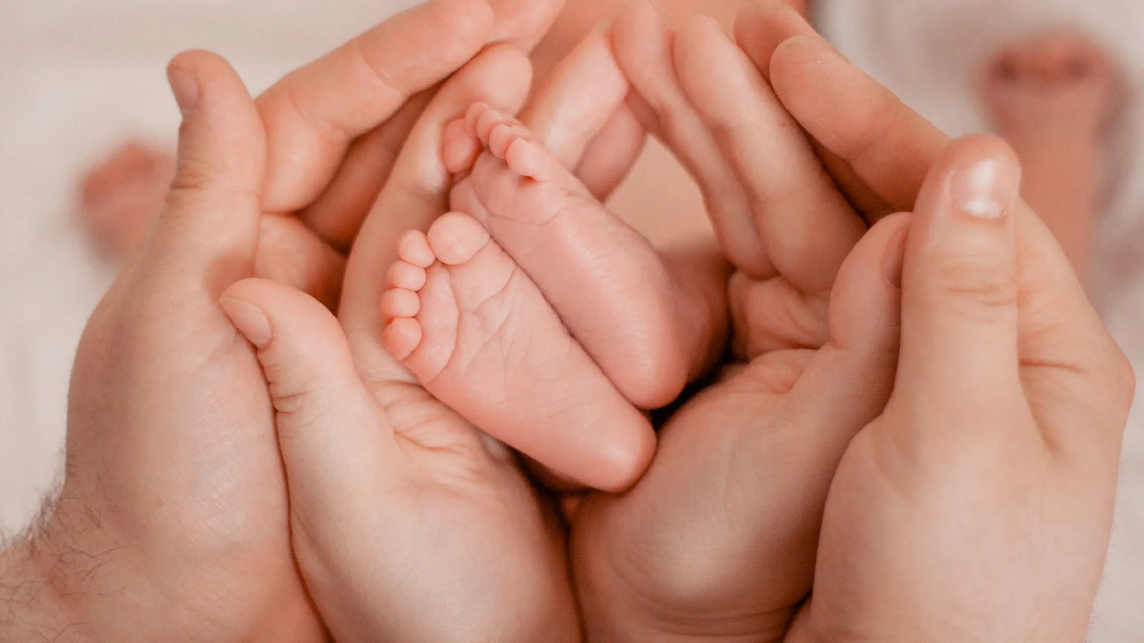The Essential Guide to Parental Benefits