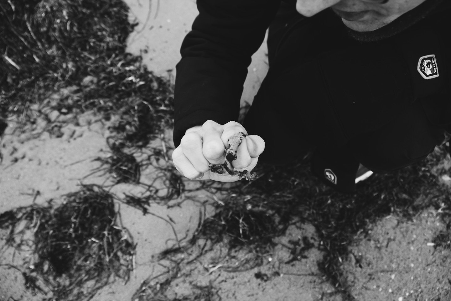 &bdquo;Very few people are noticing and investigating this beautiful natural material lying on our coasts. When creating within my own practice sustainability and nature are very important to me. Using and exploring natural materials to incorporate w