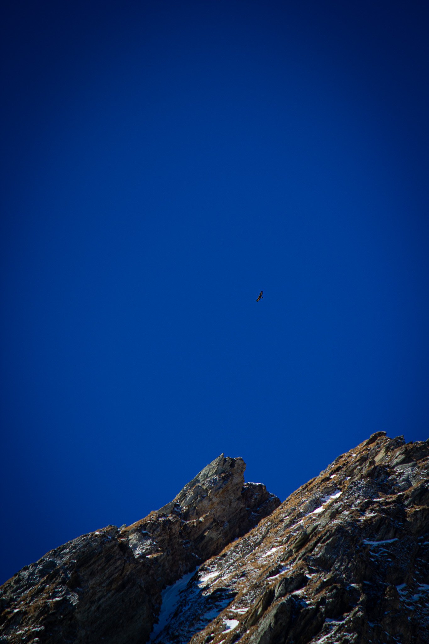 IMG_1378.jpg