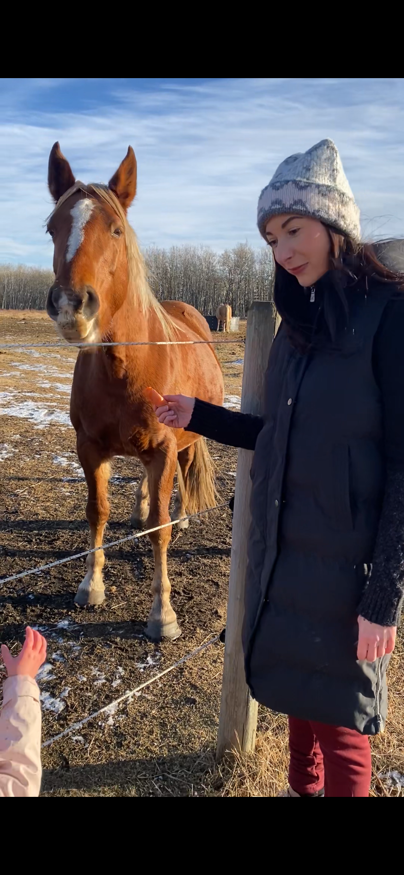 A woman with dark hair wearing a gray beanie and black coat feeding a brown horse through a fence in an outdoor farm setting.