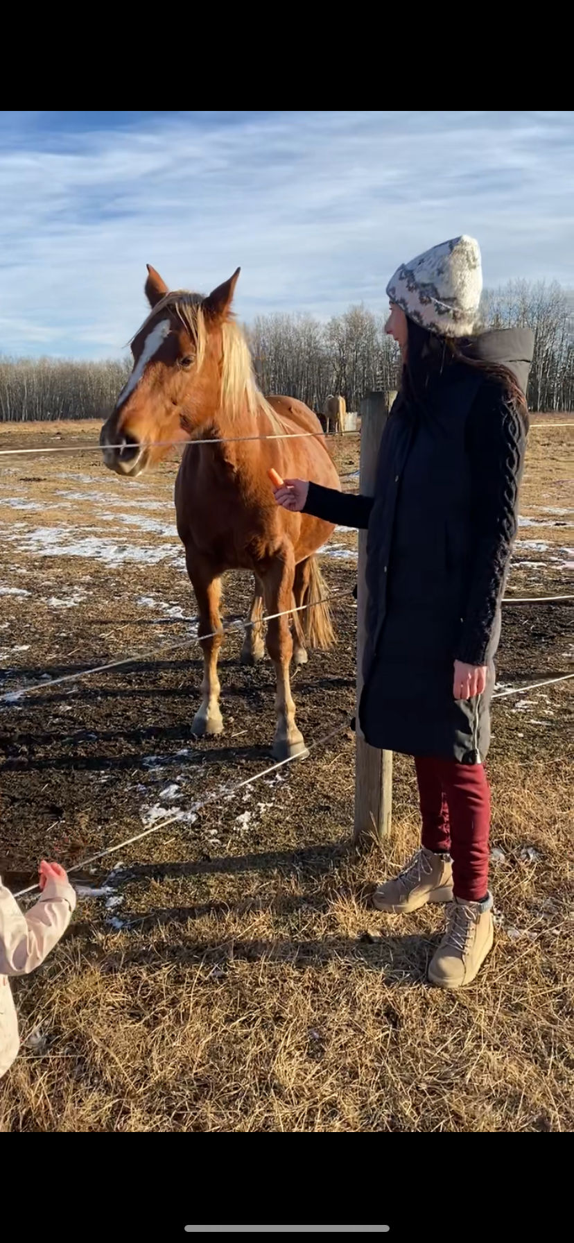 A woman in a black coat and beige boots standing near a fence, feeding a brown horse with a white stripe on its face. The setting appears to be a farm or paddock with some snow on the ground.
