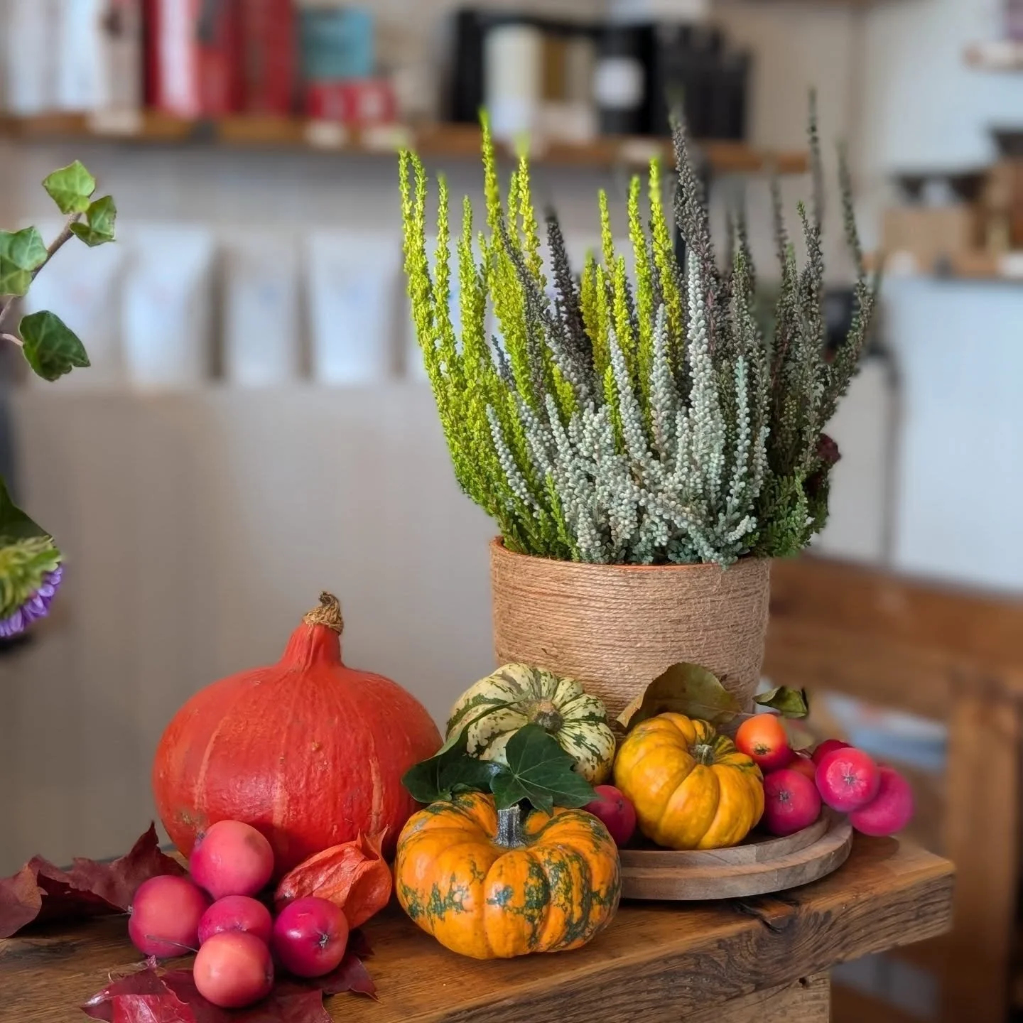 Are you ready for everything pumpkin!!
We are , pop in and check out our new little menu and drink specials ! Happy autumn 🍁🎃 🍂