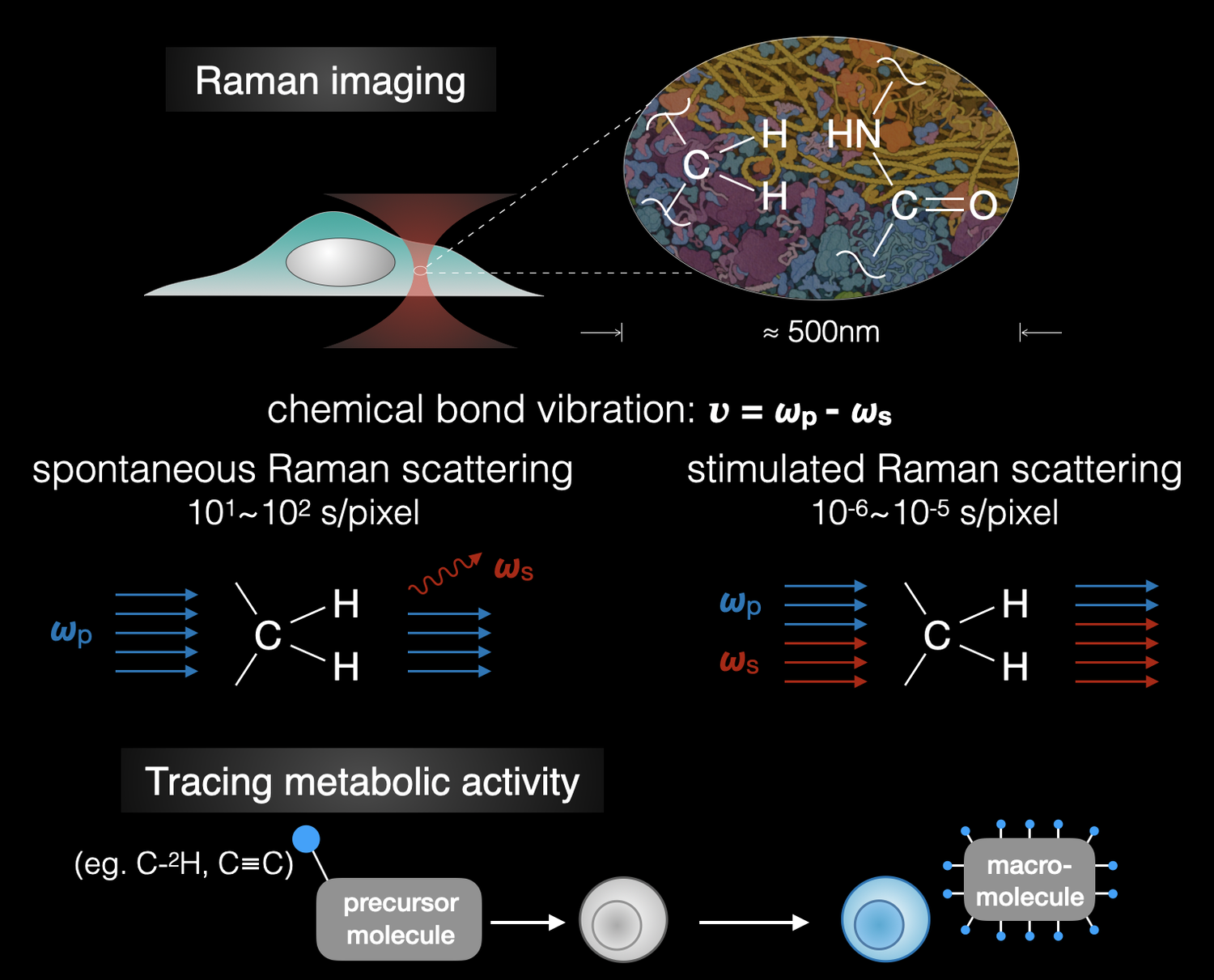 Research — Shen Lab @ UPenn