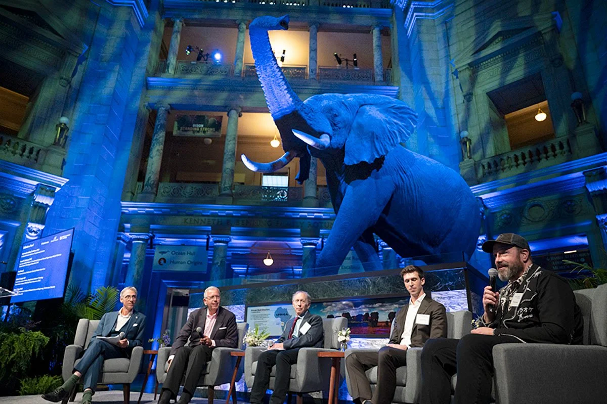 Drawing the Next 250 Years: Graphic Recording at the National Academy of Sciences