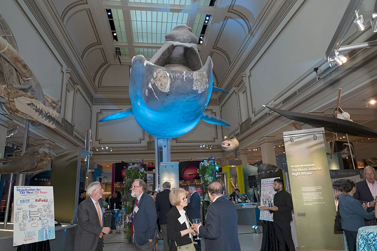 Underneath the blue whale, graphic recording panels were on display at the Smithsonian's National Museum of Natural History in the Sant Ocean Hall