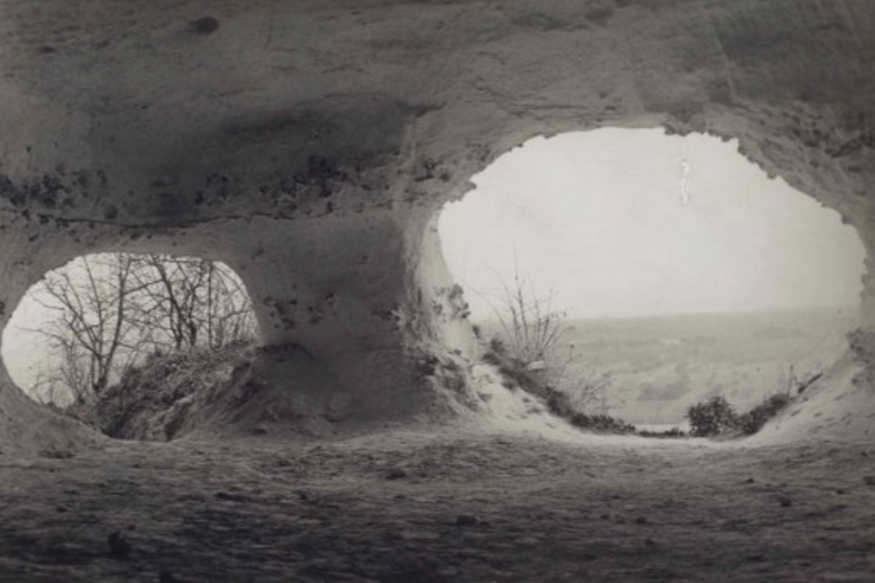 Antique Nova - old and new music for viol consort