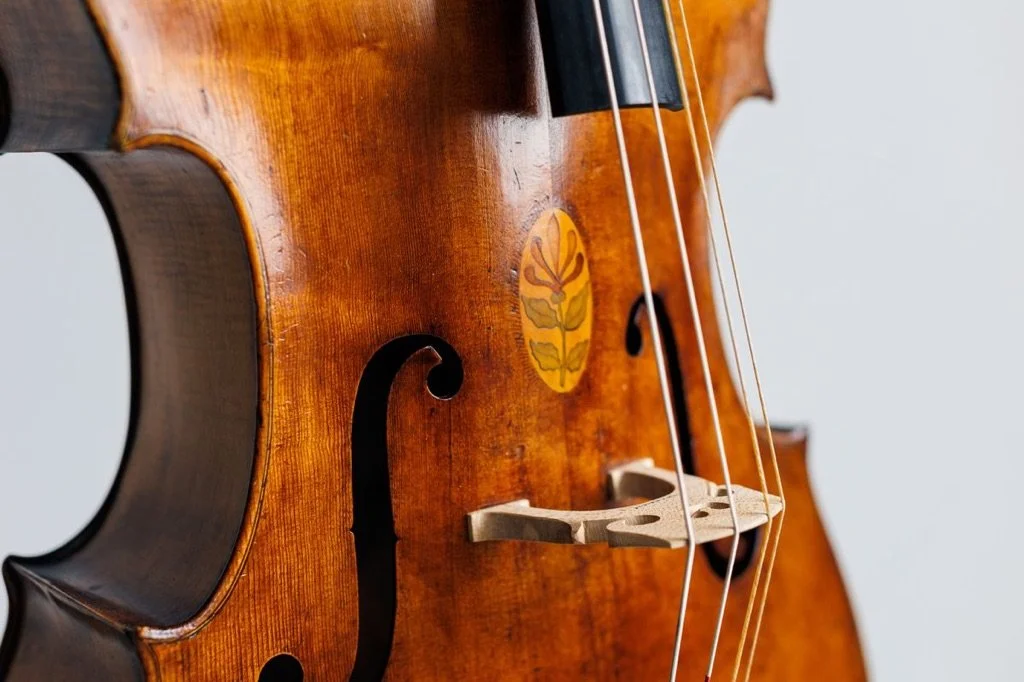 Sara Thompson concert.png