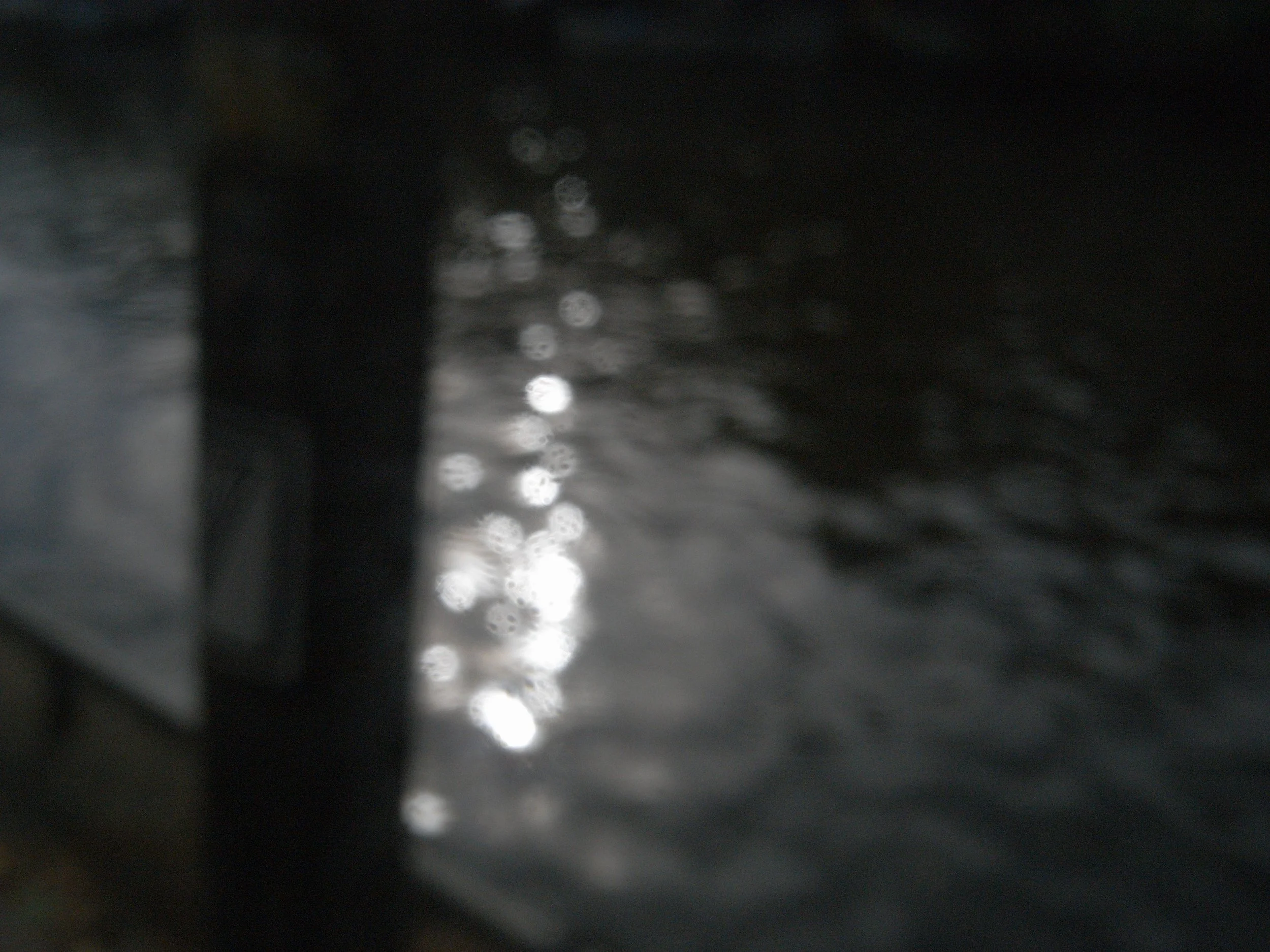 R0039118.JPG