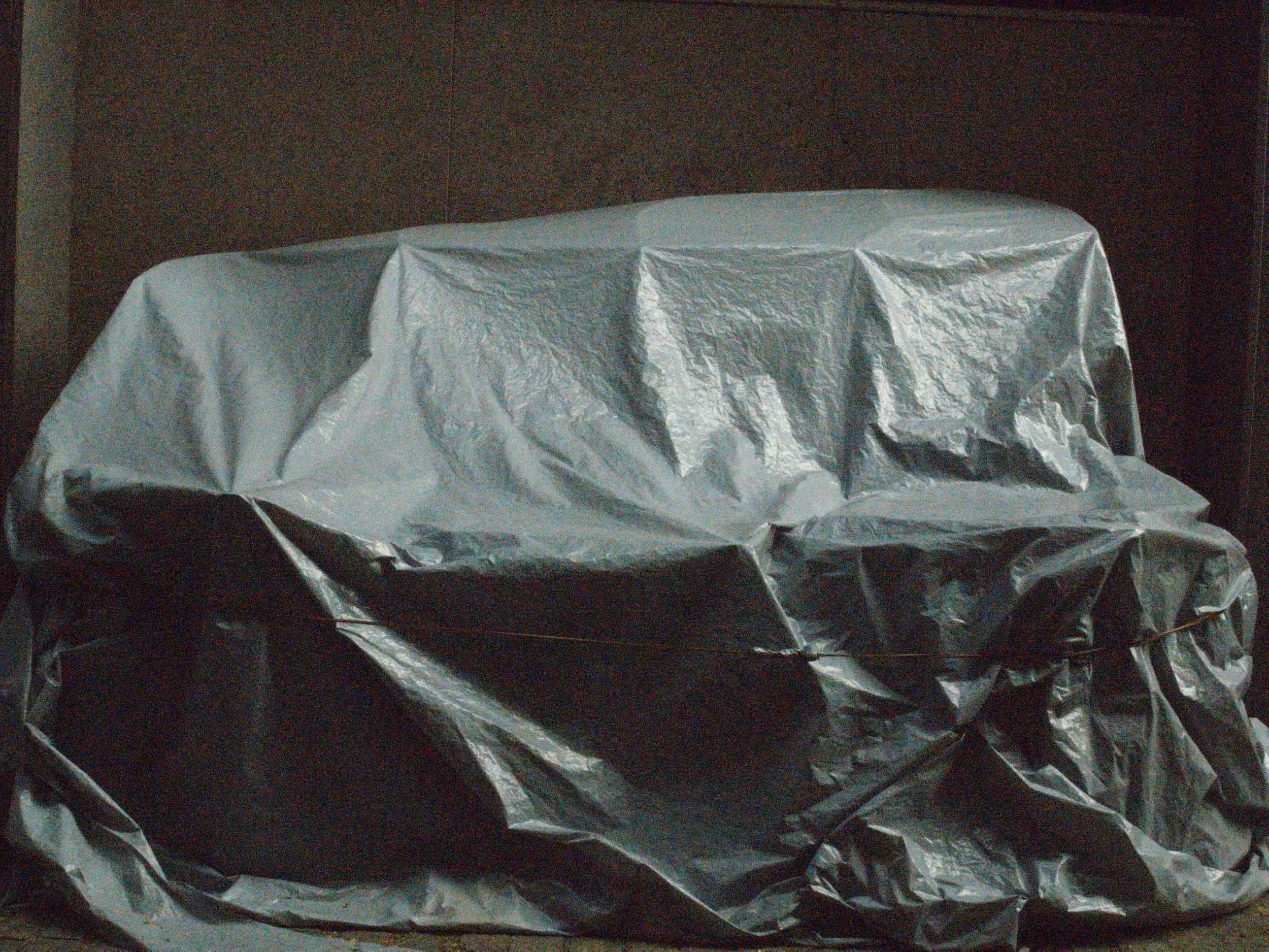 R0039609.JPG