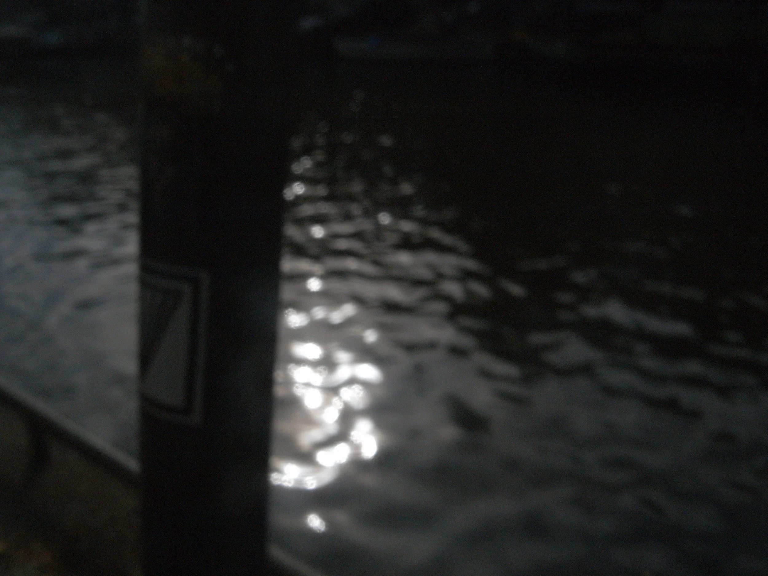 R0039119.JPG