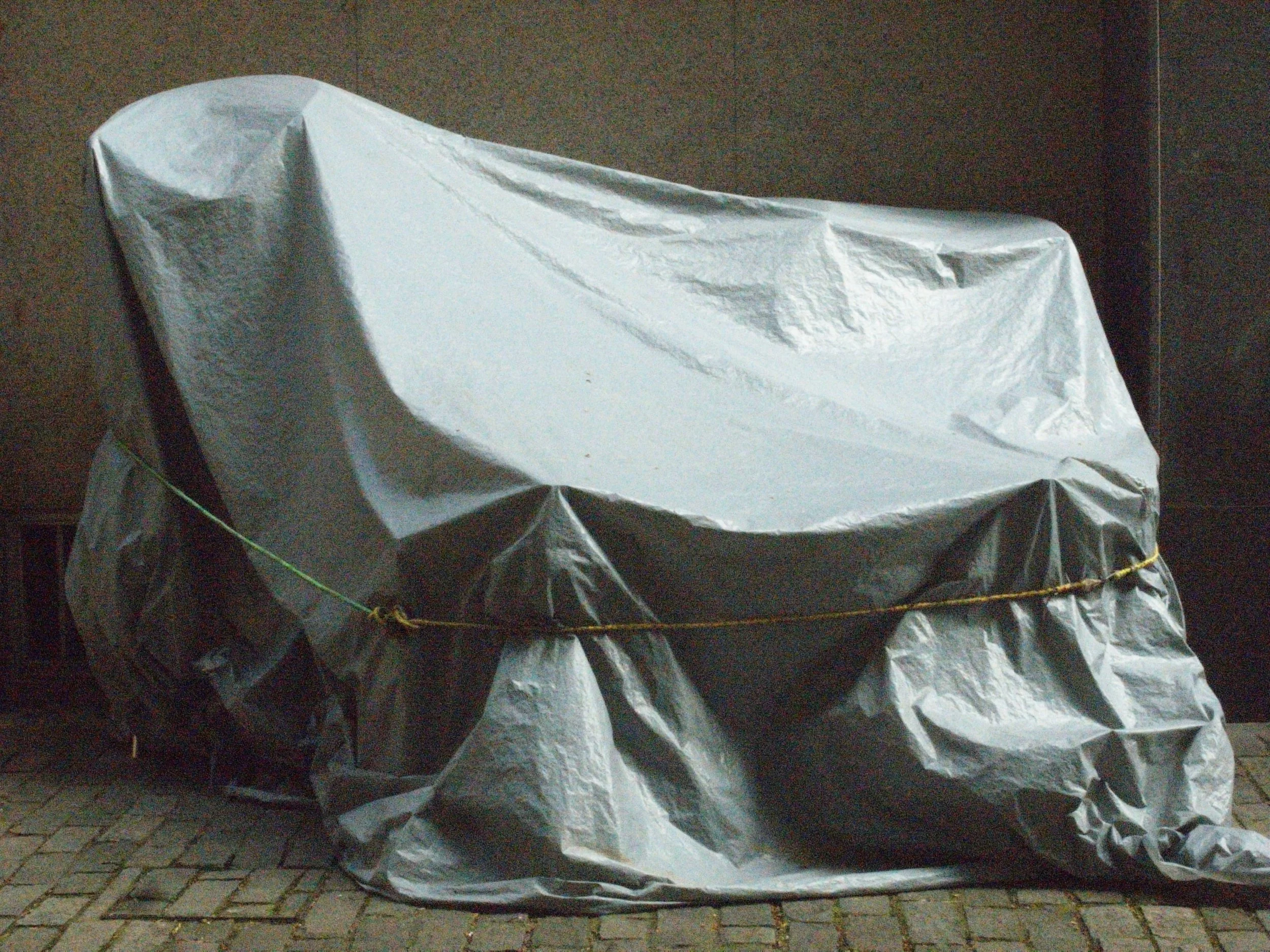 R0039600.JPG